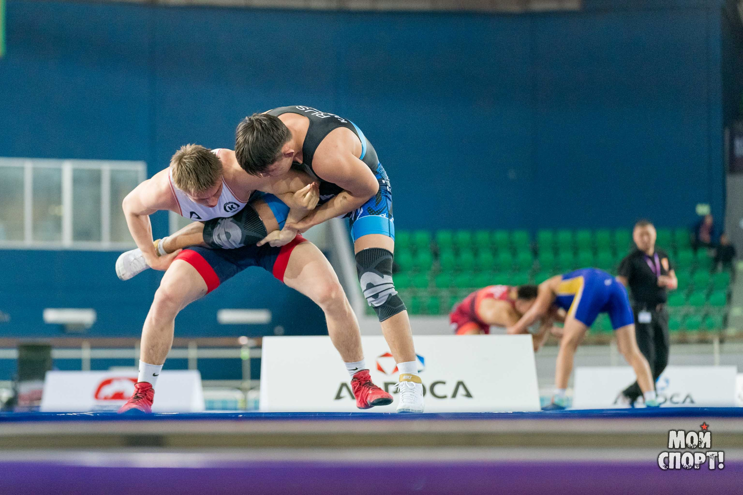 Международный турнир по вольной борьбе среди юниоров памяти олимпийского чемпиона Романа Дмитриева. Студия «Мой Спорт!» — все о спорте в Якутии