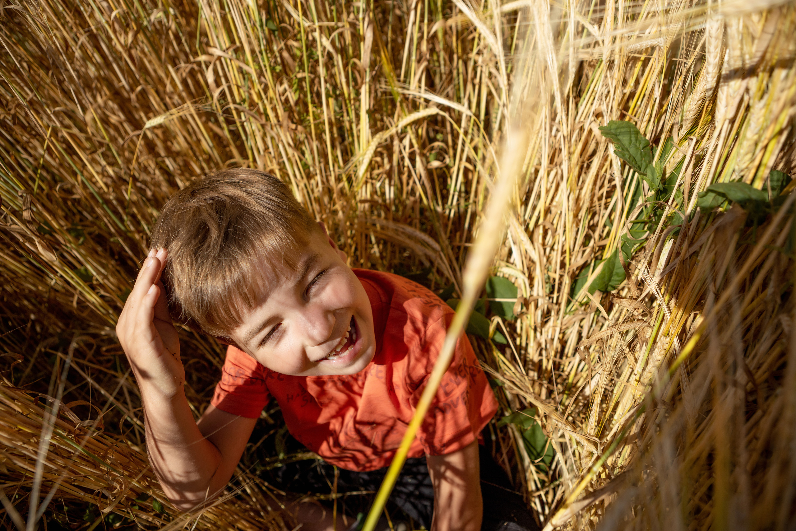 Лето в деревне. Фотокоуч Катерина Каледина
