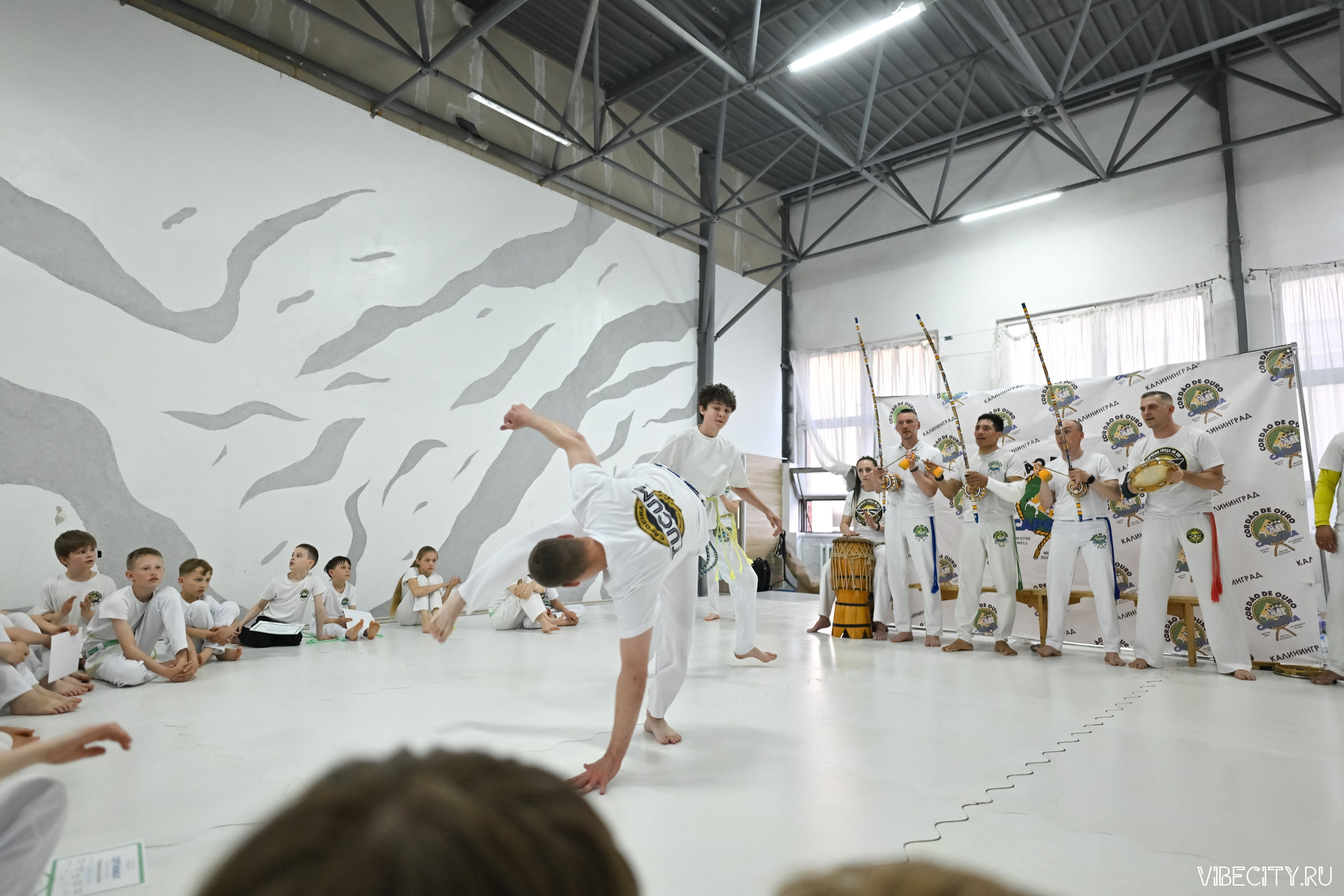 Capoeira: 4-е batizado e Troca de cordao. VIBECITY.RU Вайб Сити Ру Фоторепортажи Фотоотчеты Калининград