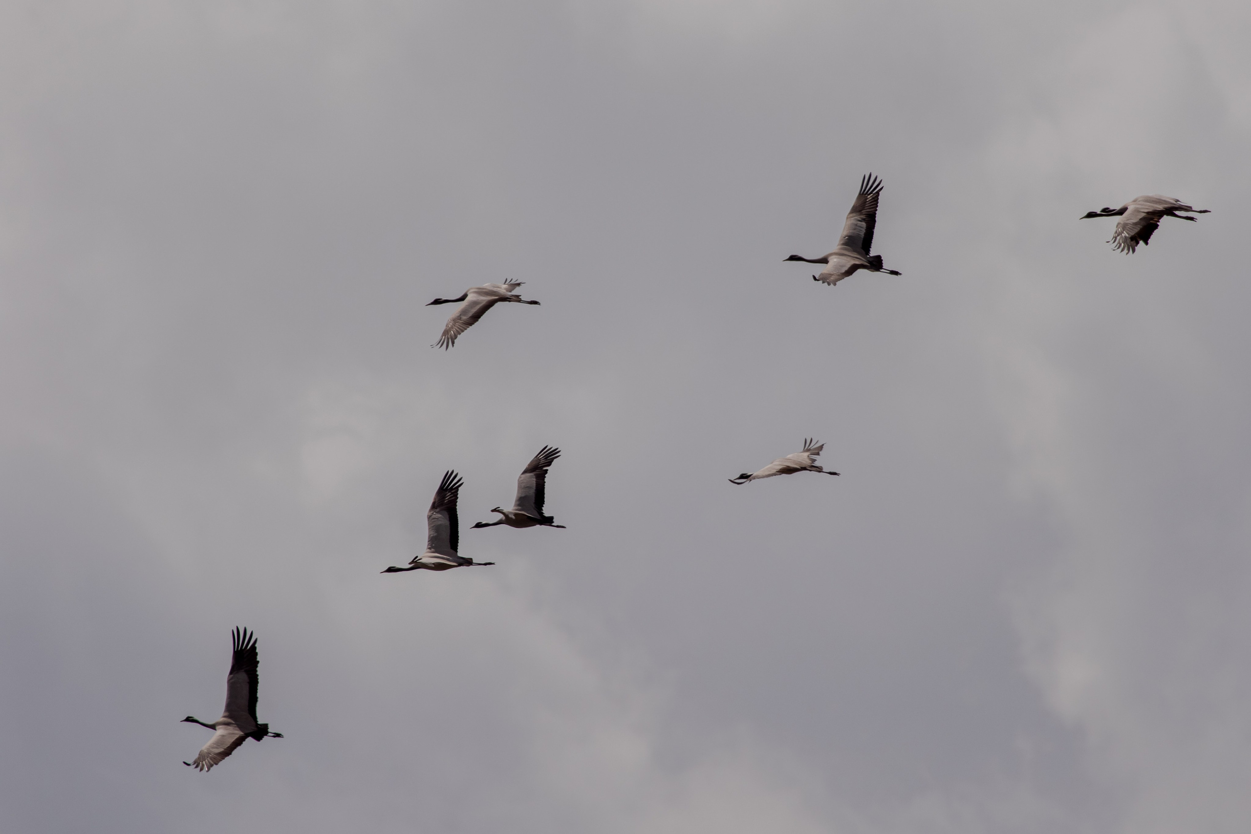 Горный Алтай. Фотограф Кирилл Мешков Кемерово