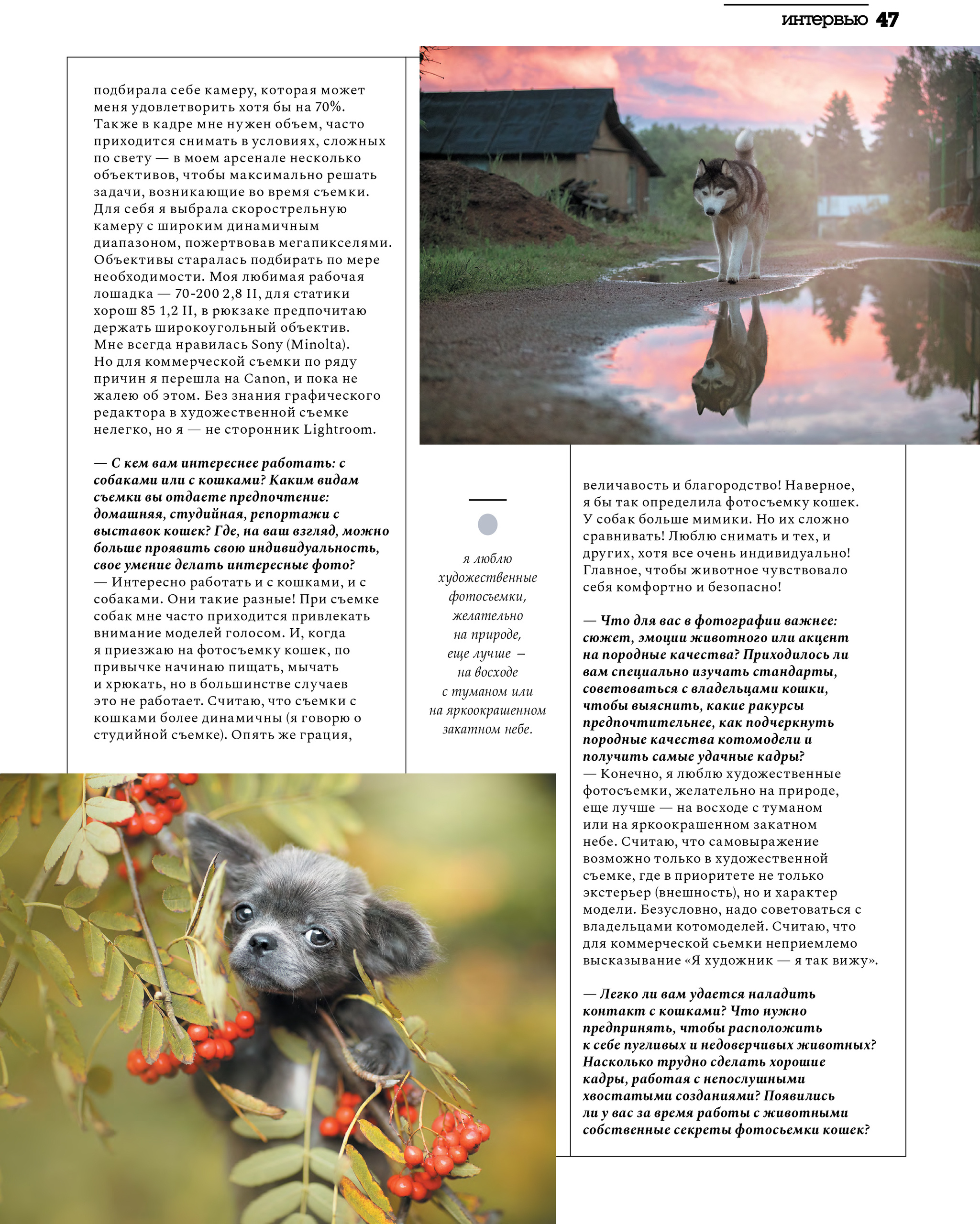 Публикации. Фотограф анималист в Санкт-Петербурге Светлана Писарева