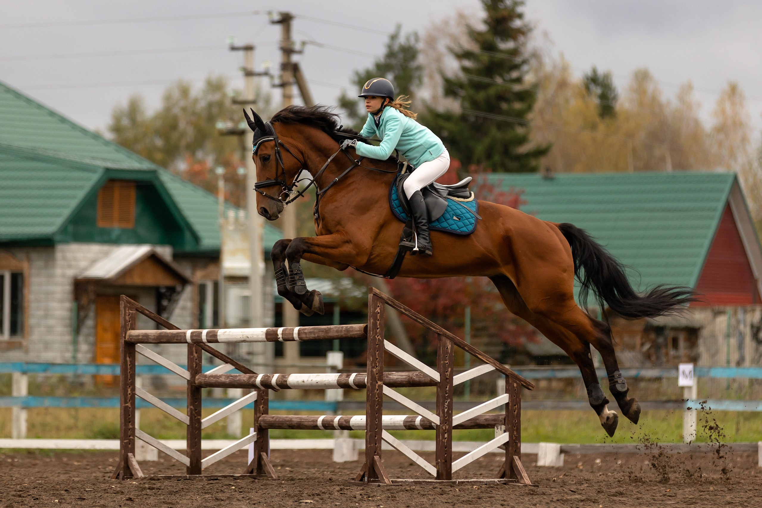 Соревнования по конному спорту. Конный фотограф Валынкина Лера
