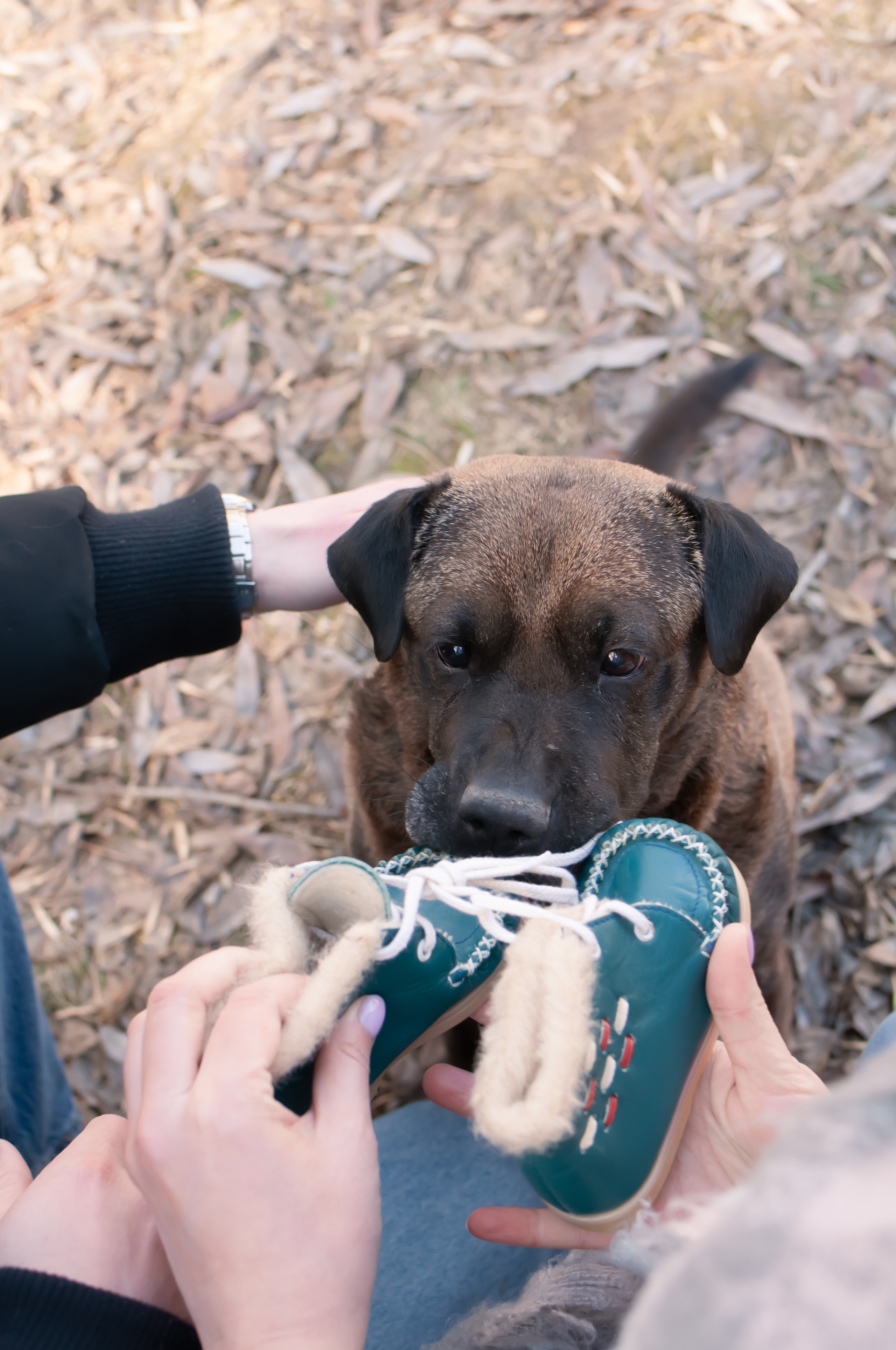 Кристина, Влад и Боня. Семейный и детский фотограф в Екатеринбурге Наталия Акимова