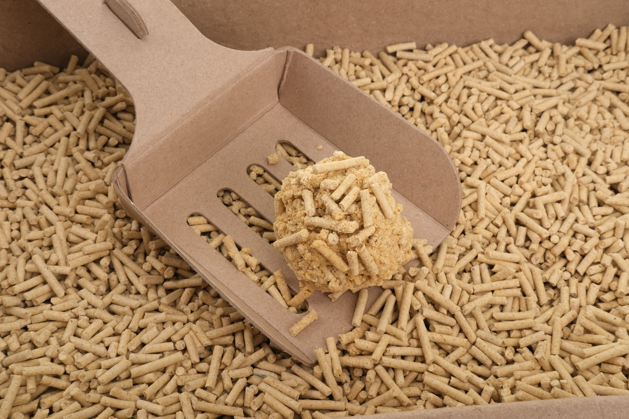 Зоотовары: Профессиональная предметная съемка для маркетплейсов в Москве | Гурьянова Ольга