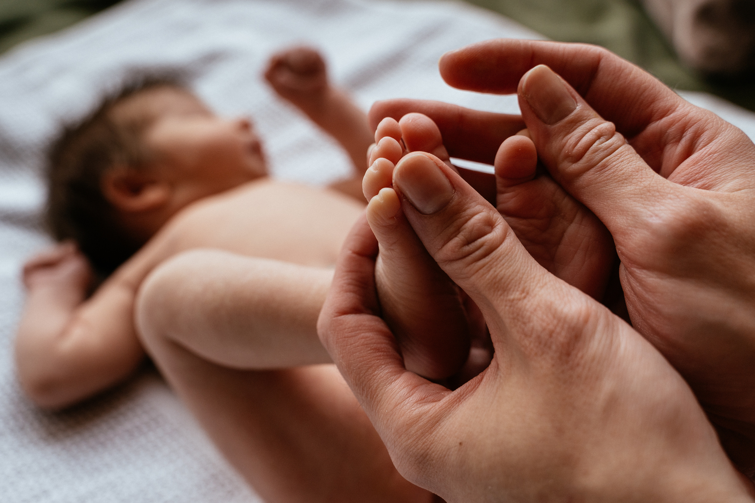 Семейная фотосессия с детьми. Студия. Екатеринбург. Свадебный и семейный фотограф Ксения Шекк Екатеринбург