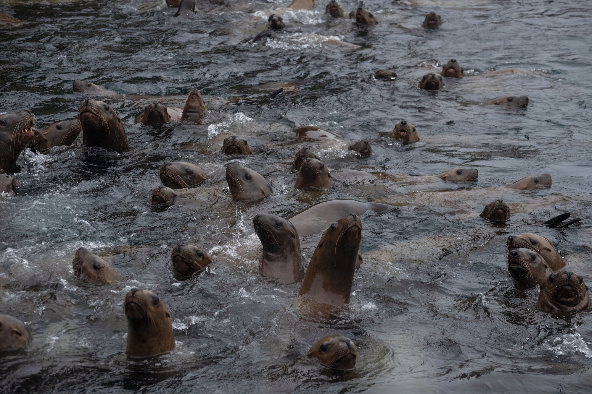 Фотоэкспедиция по Шантарам, к острову Ионы и полуострову Кони