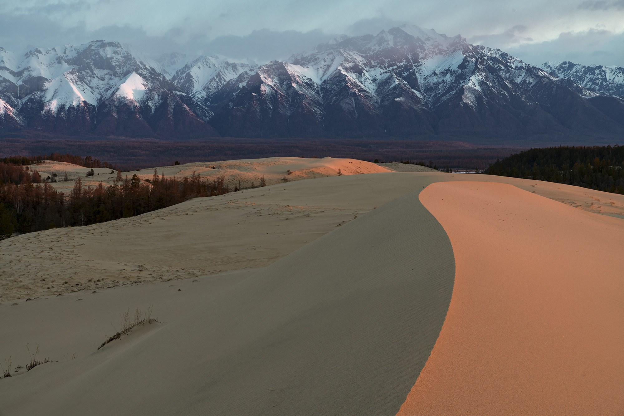 Чарские пески. Май 2026