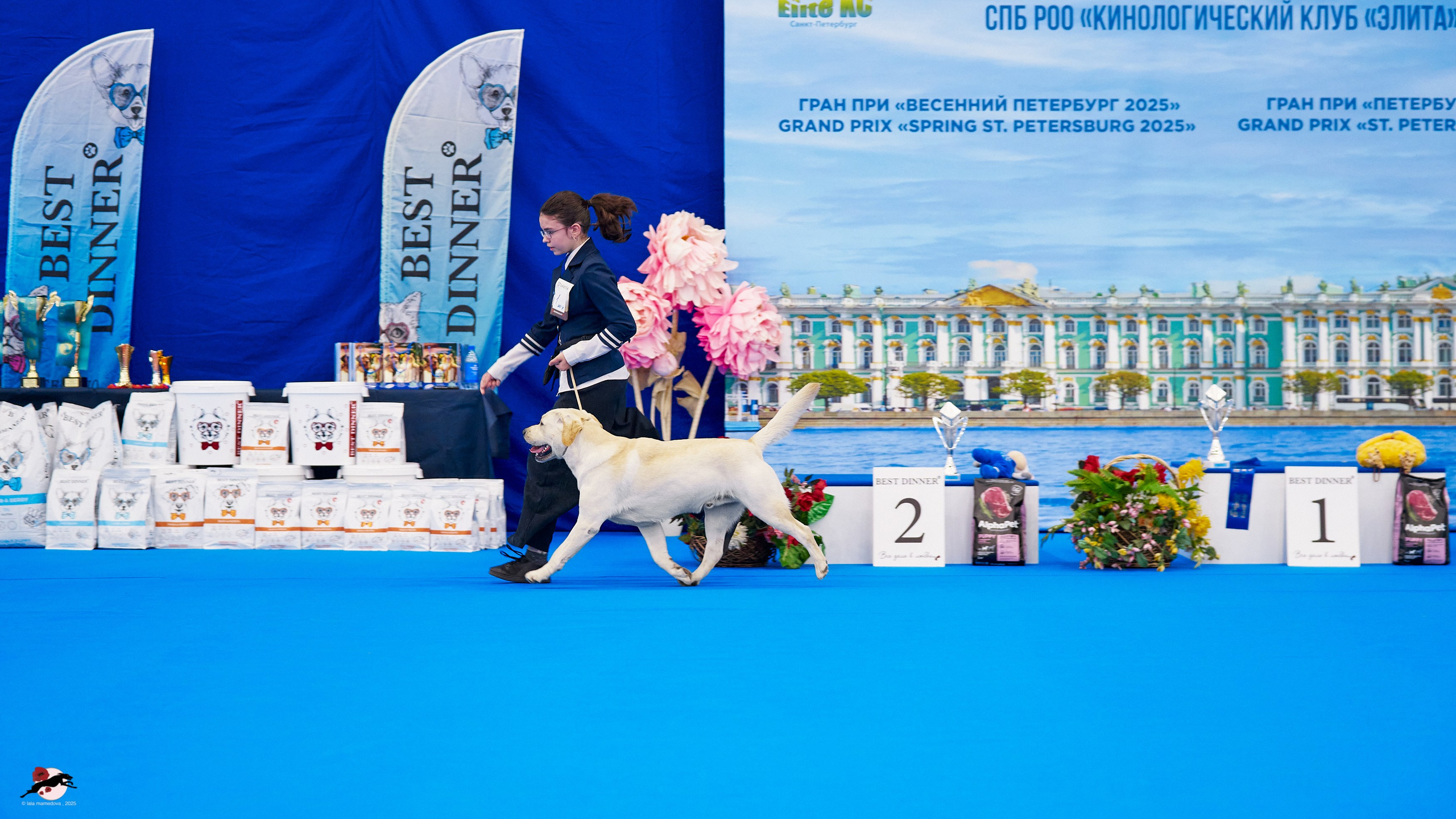 ГРАН ПРИ «ВЕСЕННИЙ ПЕТЕРБУРГ» & «СУПЕР КУБОК «ЭЛИТЫ»-2025»