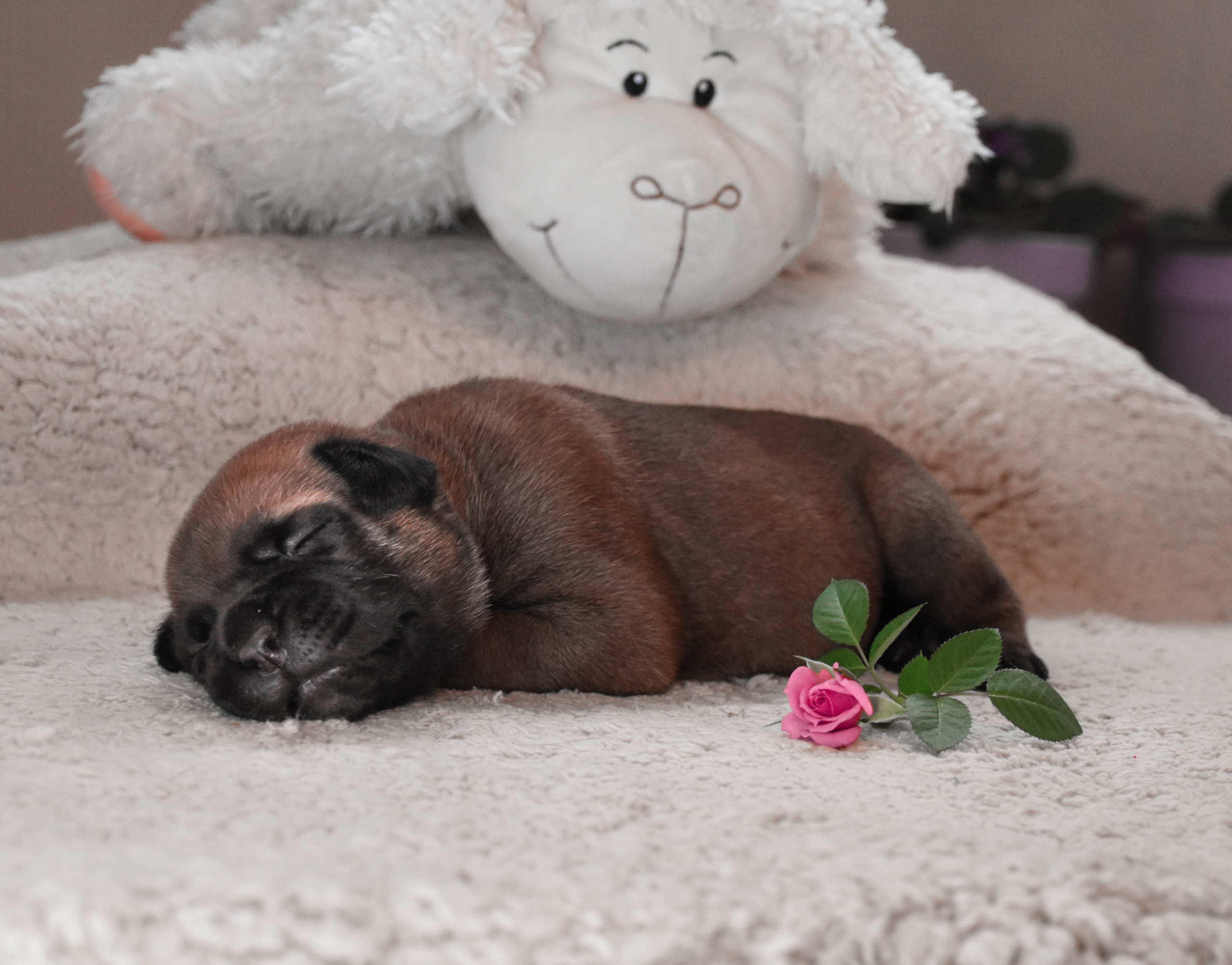 В созвучии с природой. Фотограф Светлана В. Пронина, Москва