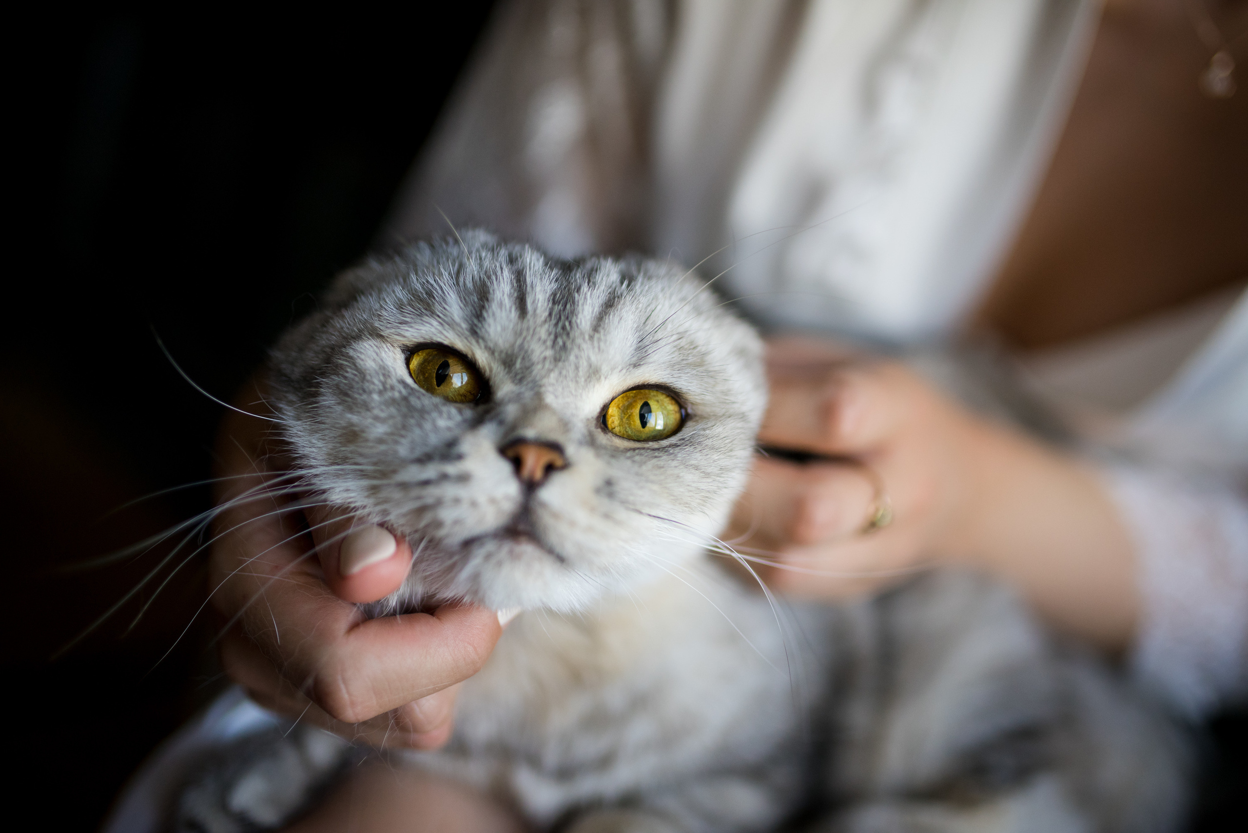 Свадебные фото счастливых людей. Сергей Богомолов. Свадебный и семейный фотограф