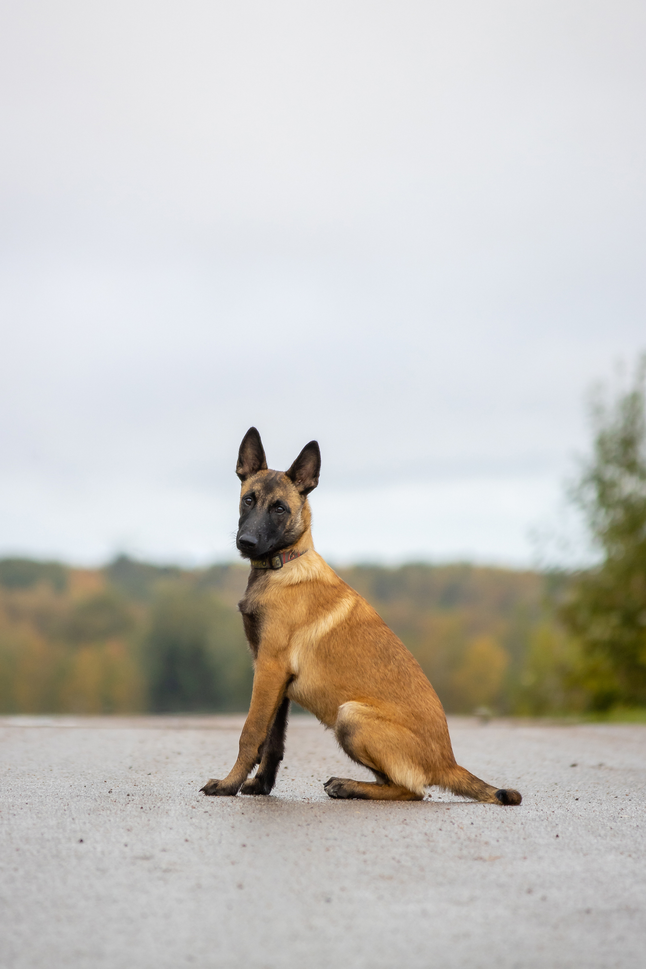 Гейм. Ася Пчелинцева, фотограф в СПб и ЛО