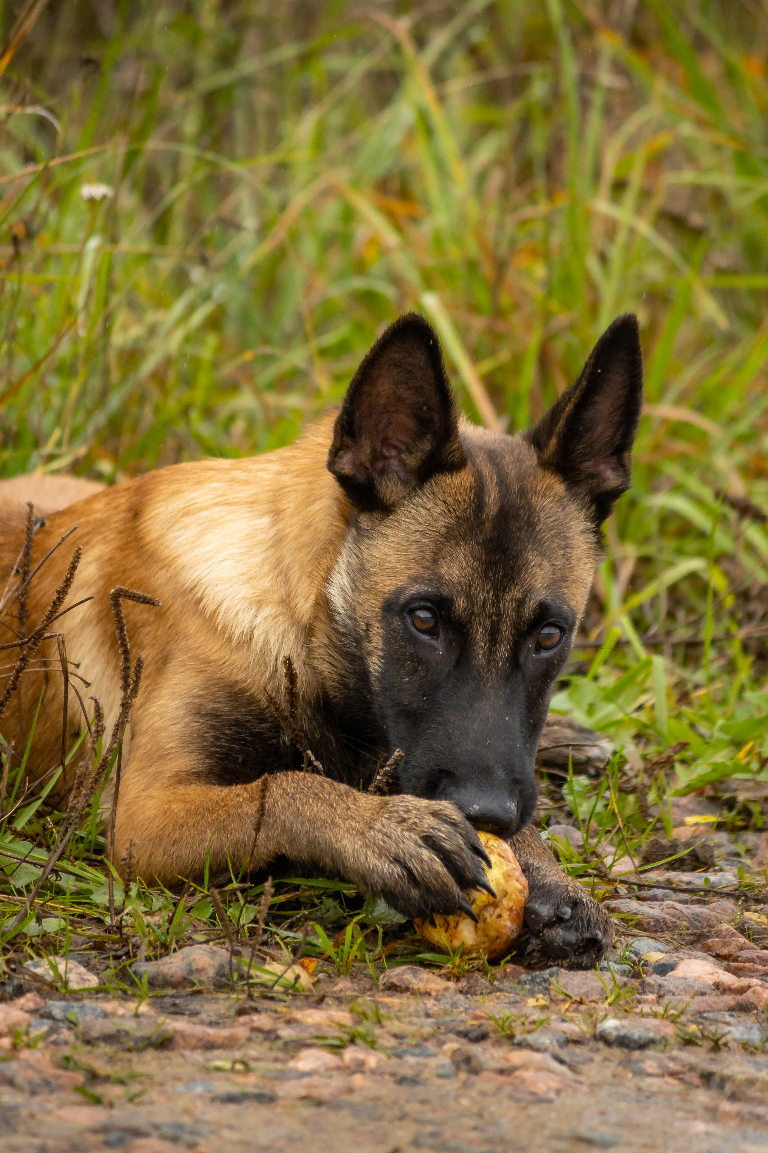 Гейм. Ася Пчелинцева, фотограф в СПб и ЛО