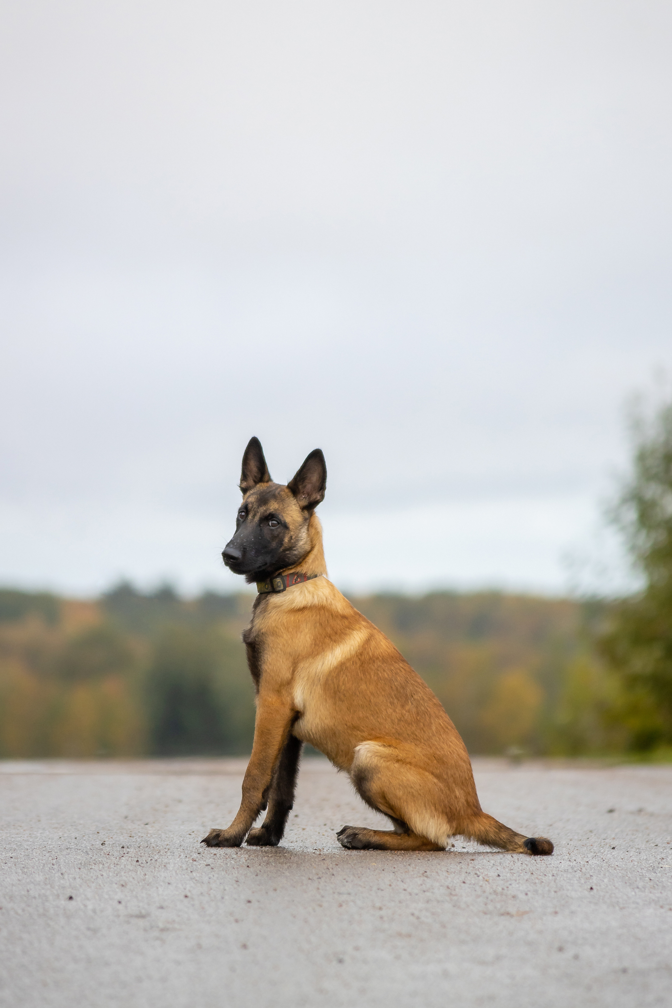 Гейм. Ася Пчелинцева, фотограф в СПб и ЛО
