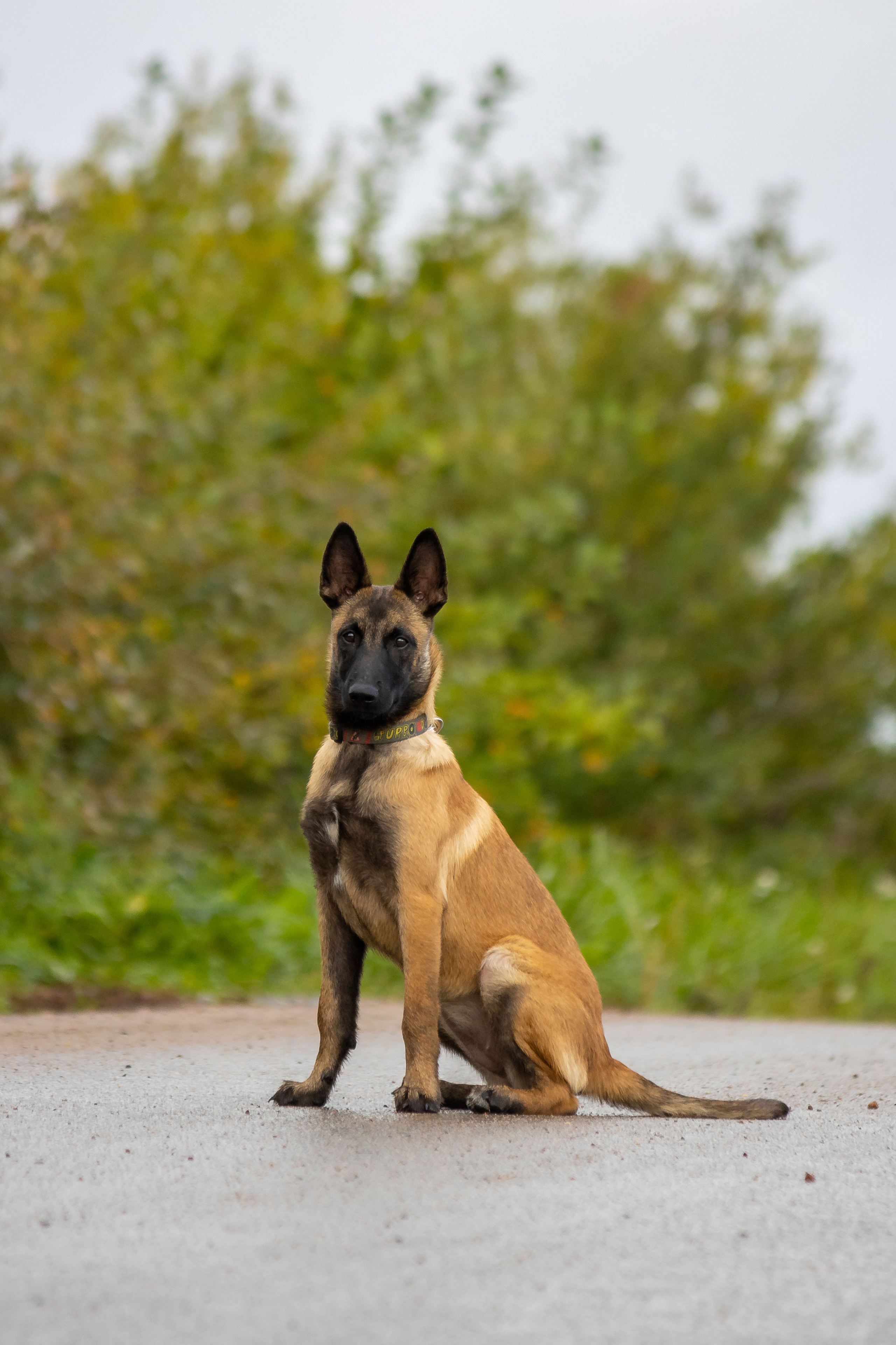 Гейм. Ася Пчелинцева, фотограф в СПб и ЛО