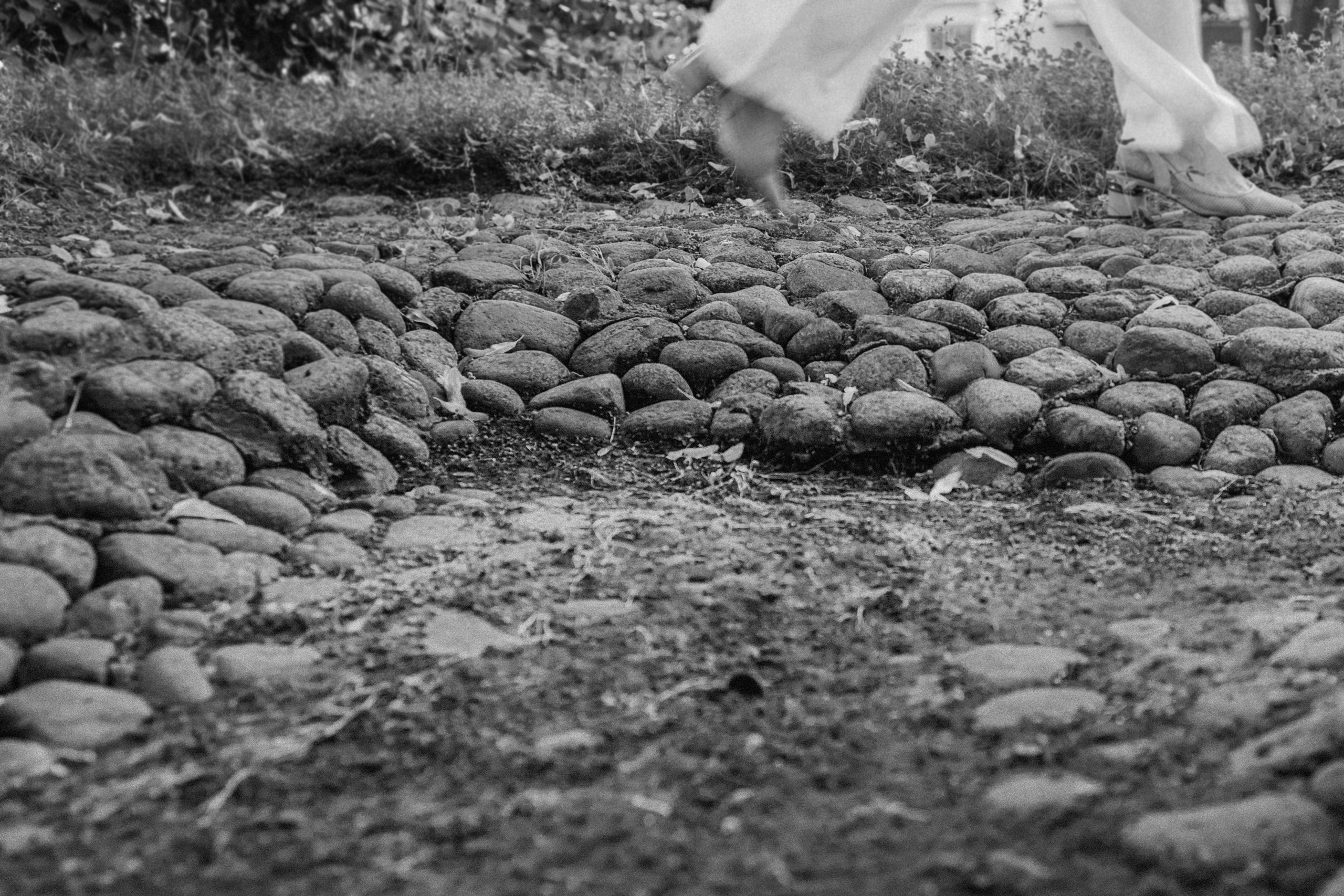 П р о Я в л е н и е для Марины. Виноградова Маргарита. Фотограф P r o Явления