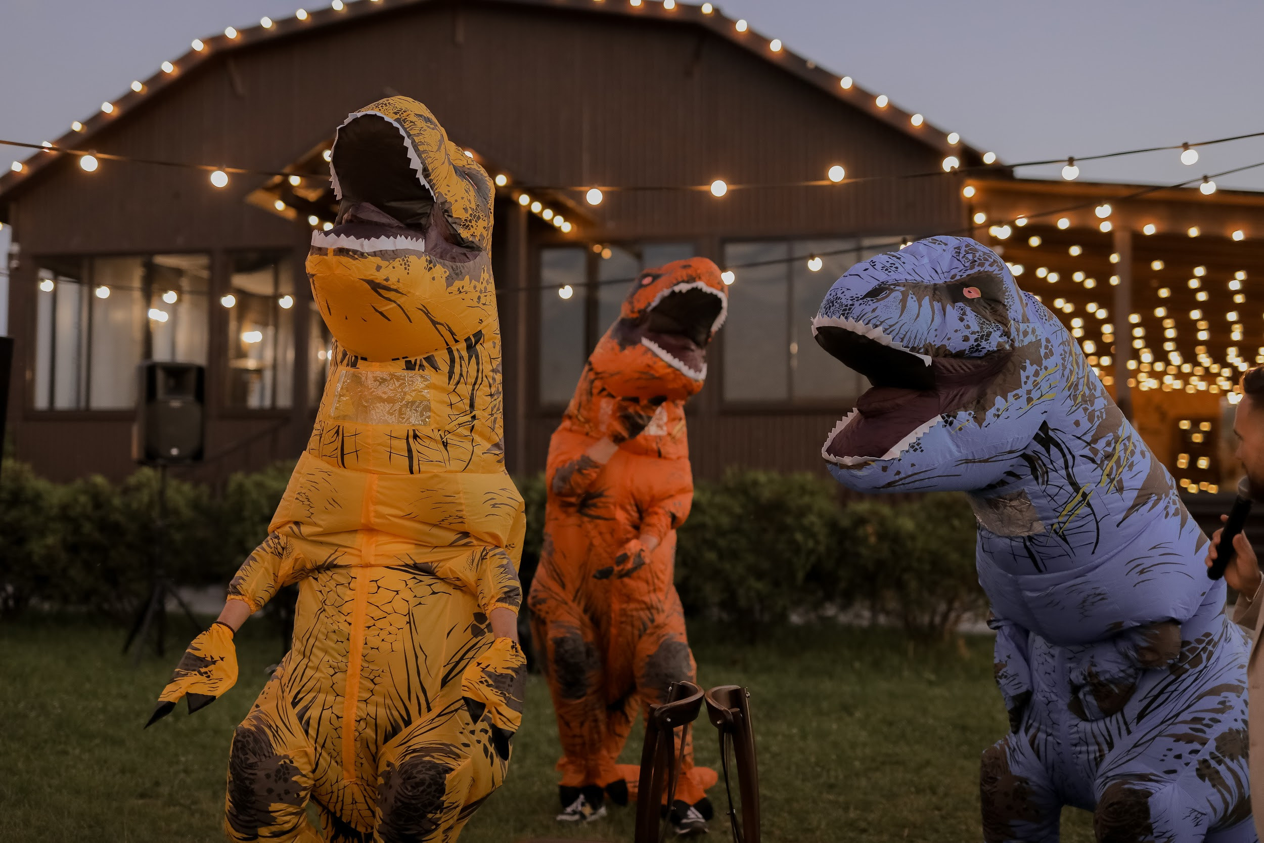 Свадьба на поляне. Свадебная площадка РАНЧО