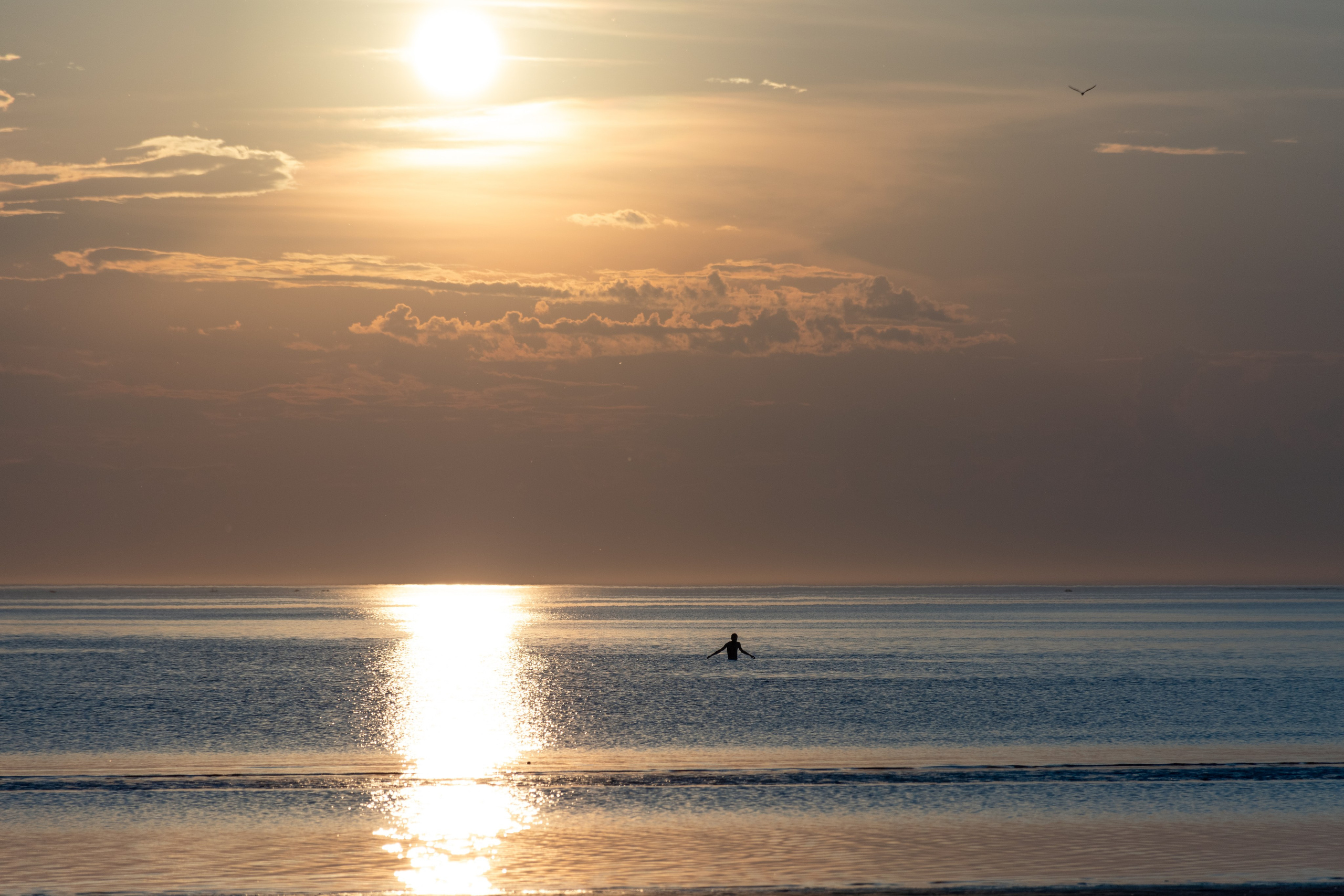 Архангельская область, Двинская губа. Фотограф в Москве Максим Скоробогатов