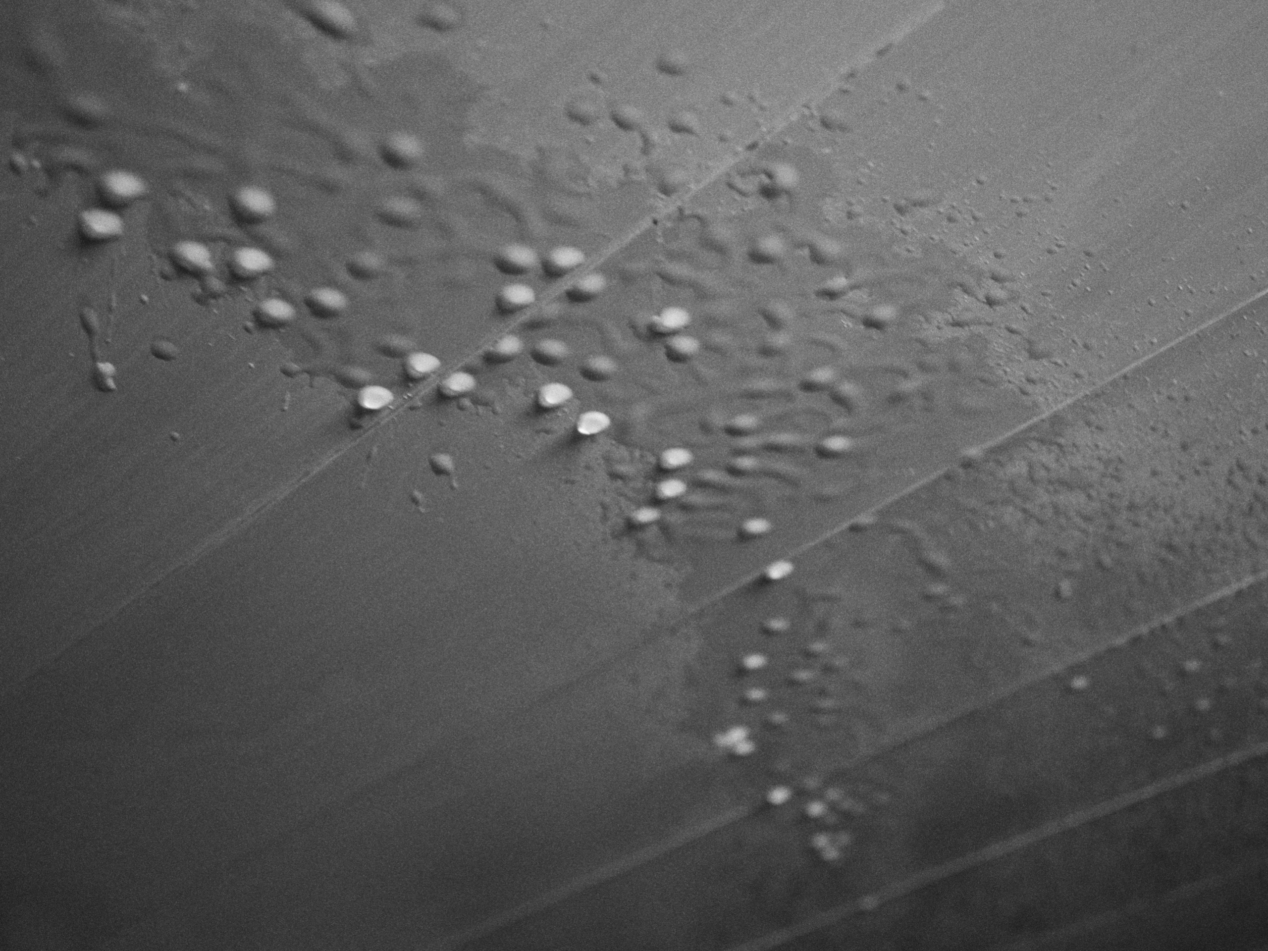 Водочка фест. Иван Кобяков