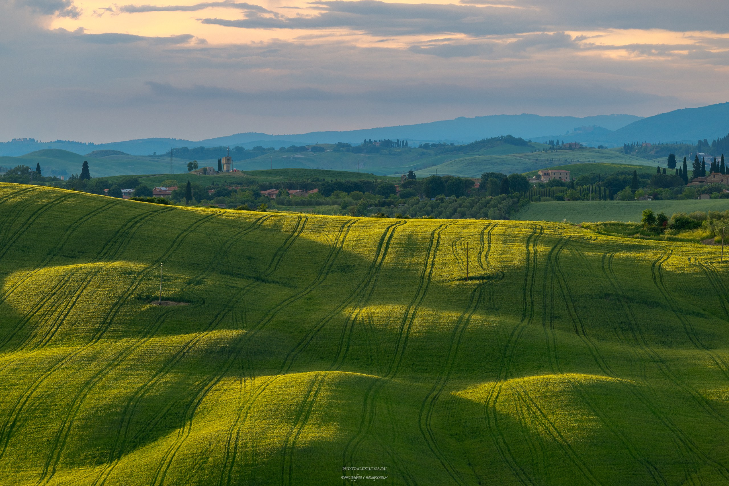 Долина Крете Сенези (Crete Senesi). Авторские стильные фотокартины