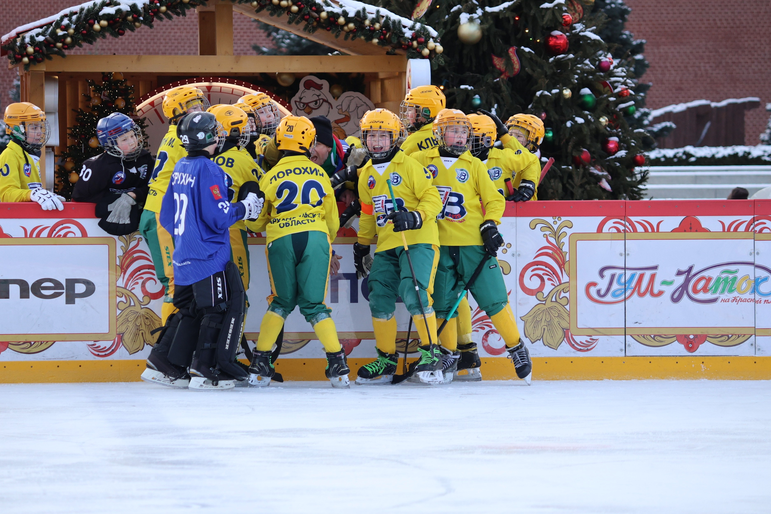 Тайм-аут хоккеистов с мячом