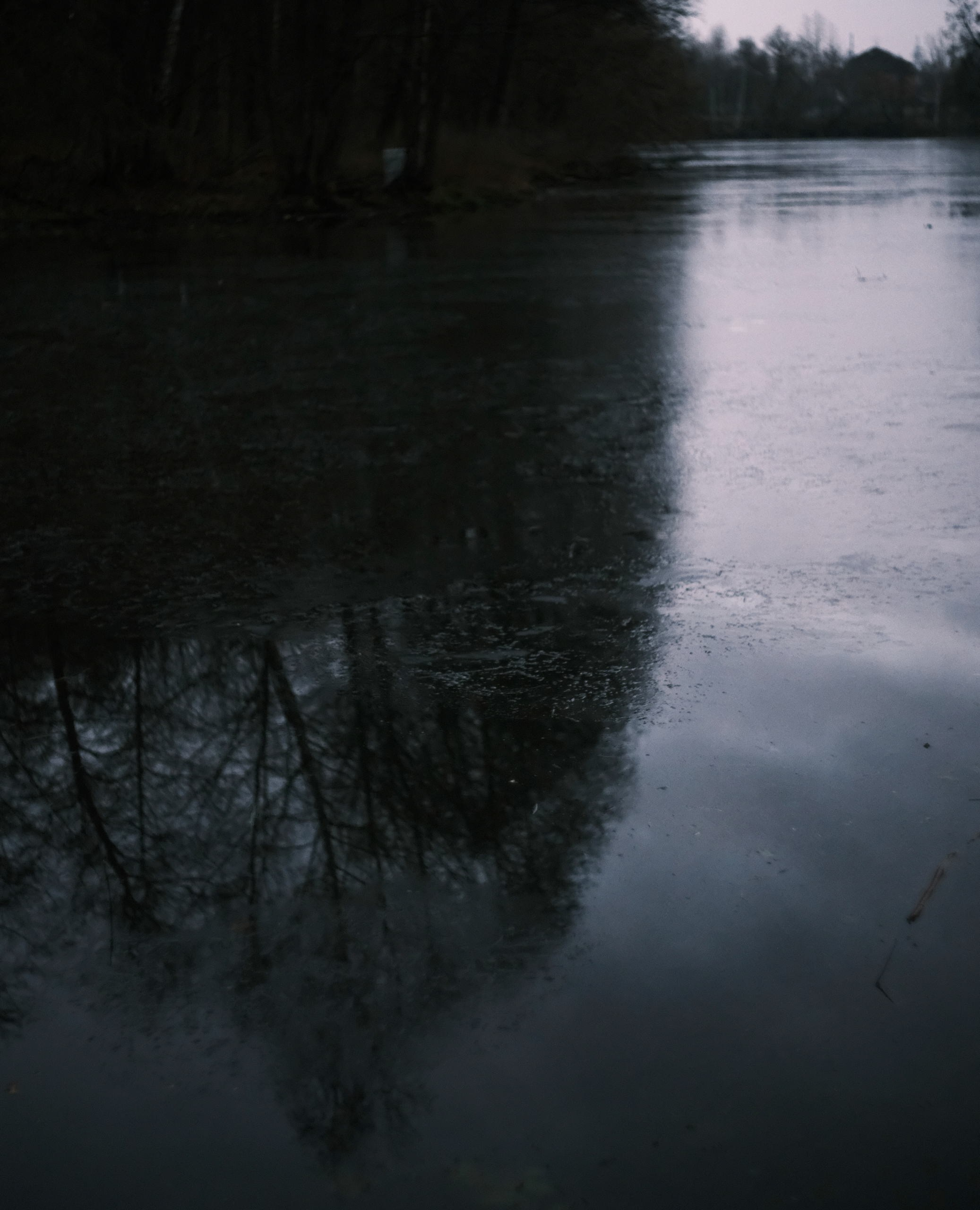 Большой пруд покрывается льдом