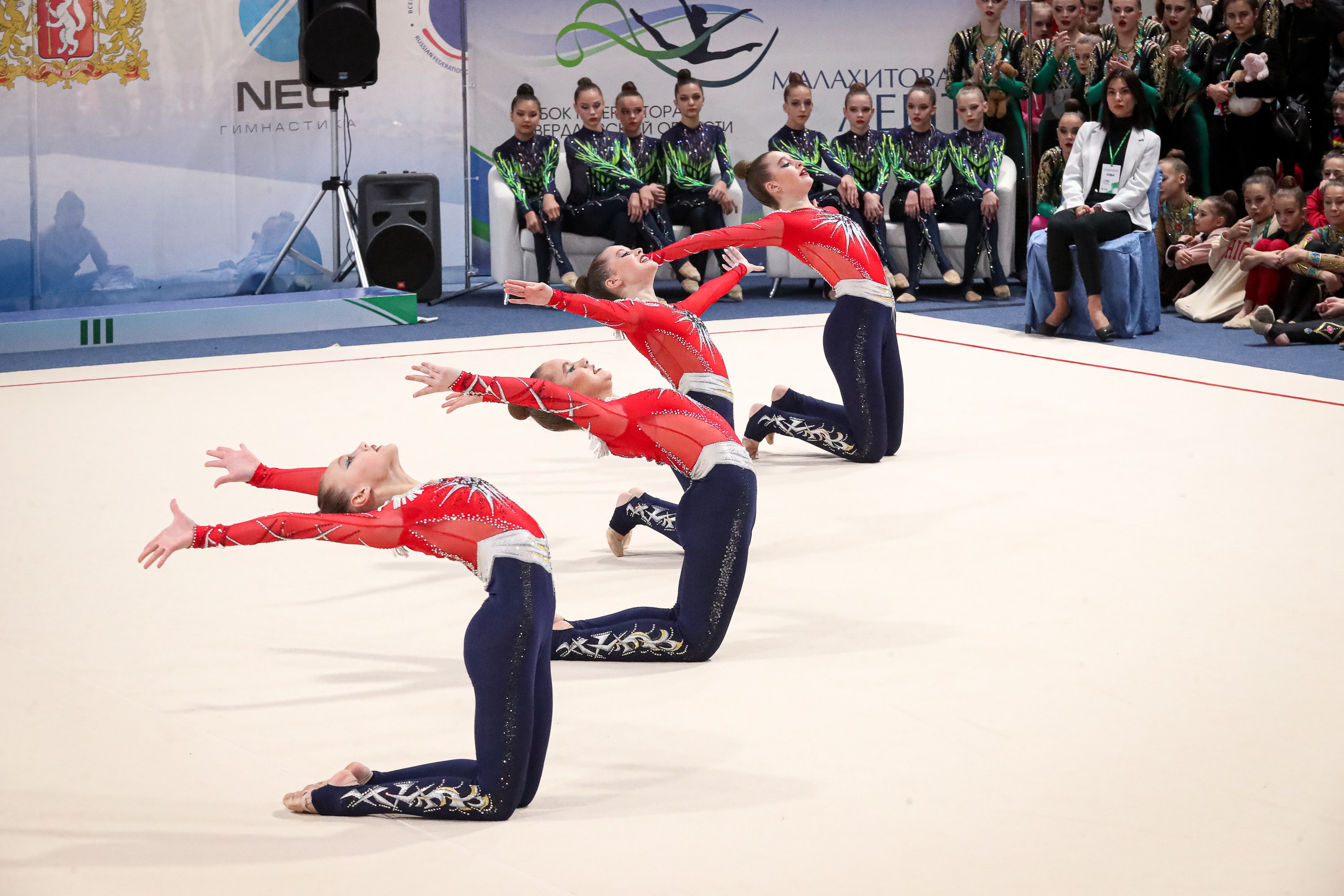 Фотосъемка чемпионата по регболу