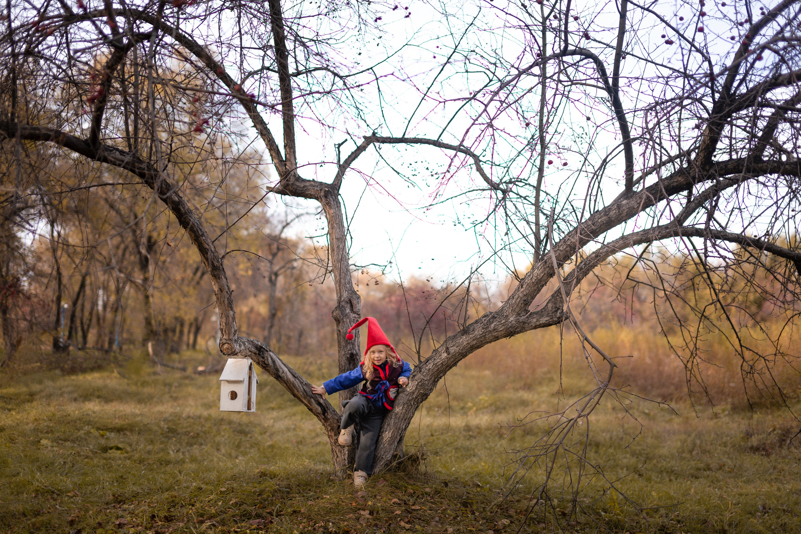 Лесные гномы
