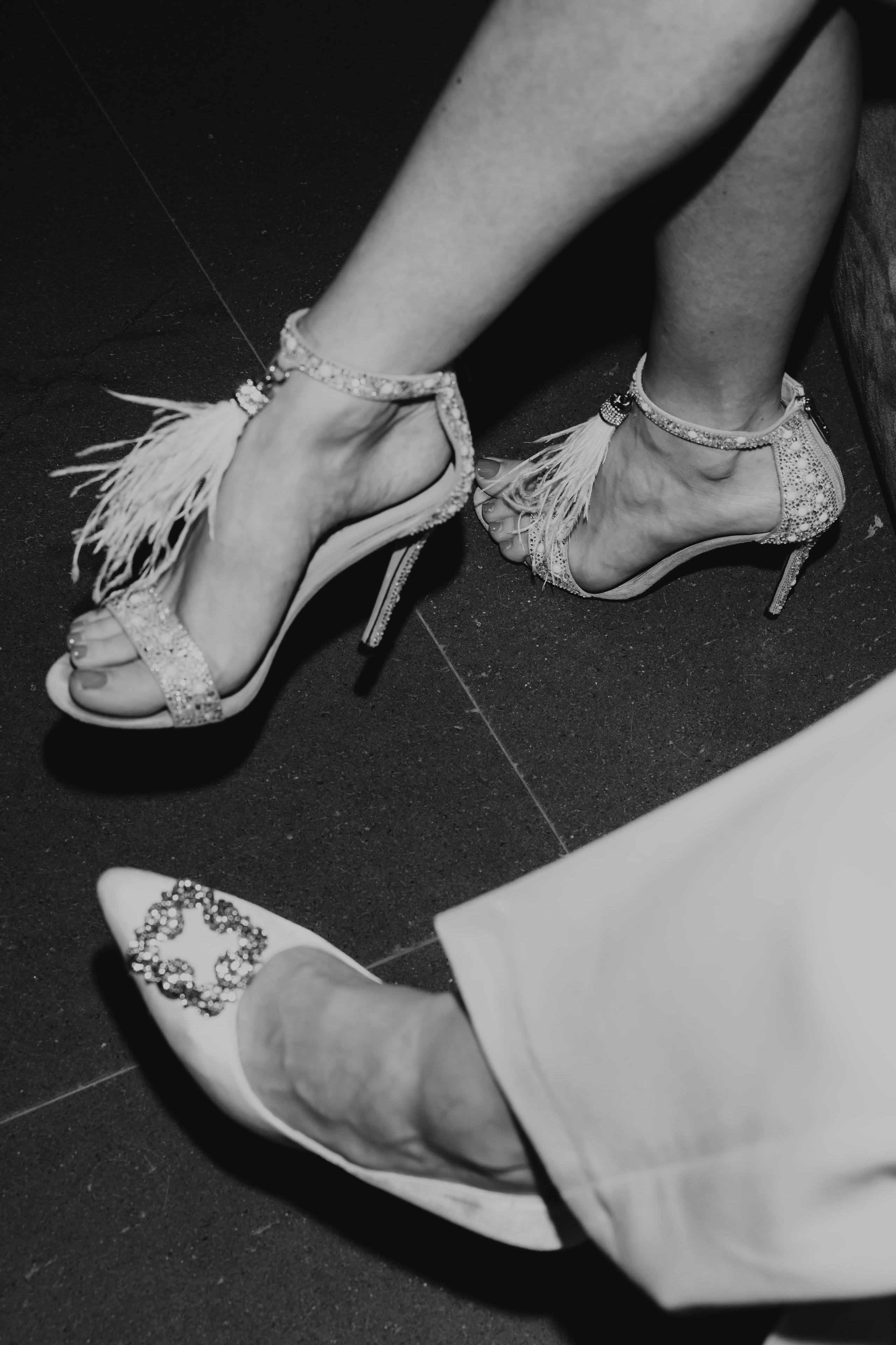 Мультибрендовый concept store Petrovka’15. «Птичка на проводе»: информационный портал в Москве