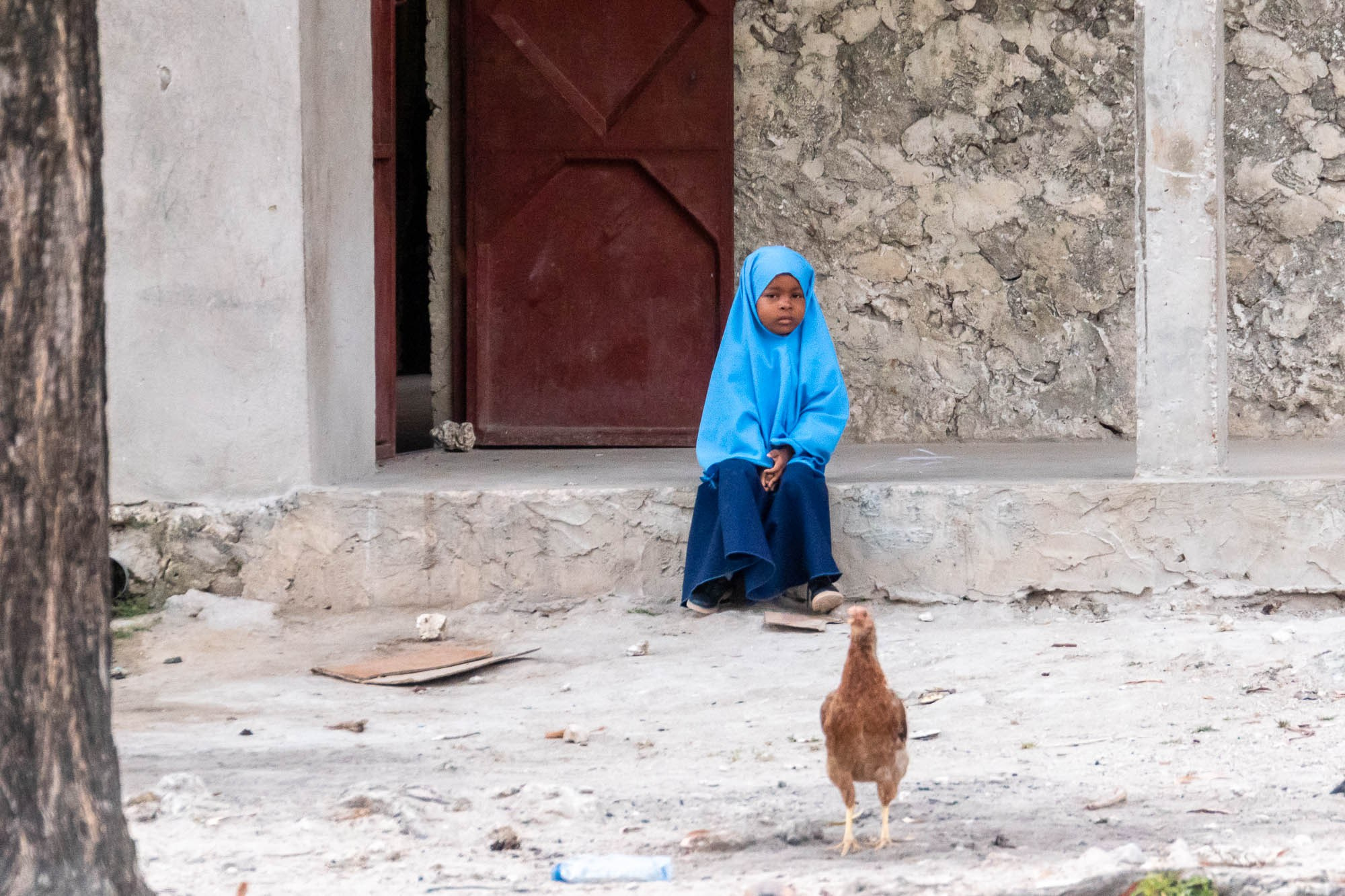 Африка, Танзания, Занзибар, Нунгви. Africa, Tanzania, Zanzibar, Nungwi. Фотограф Алексей Скоробогатько