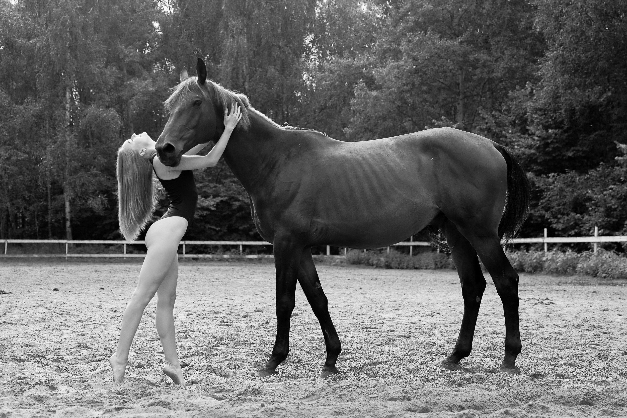 Балет и лошади, фотосессия «ГРАЦИЯ и СИЛА-1» Фотограф Михаил Семенов г. Ярославль