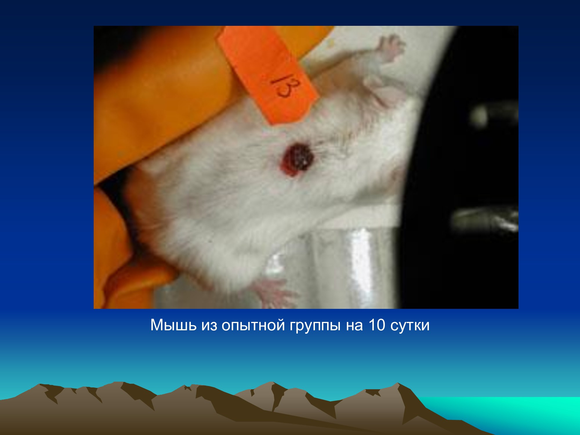 Специализированное медицинское устройство, предназначенное для воздействия на очаг патологии, БАТ электромагнитного излучения, генерируемое прибором.