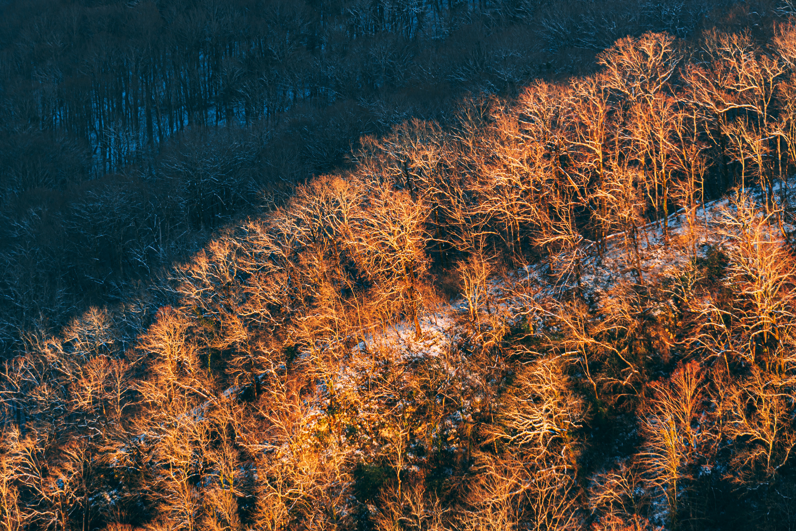 Зима в Сочи. Наталия Баранова — профессиональный фотограф в СПб и Москве