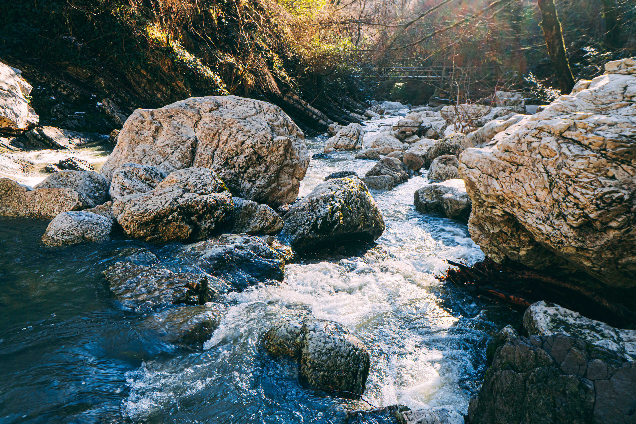 Зима в Сочи. Наталия Баранова — профессиональный фотограф в СПб и Москве