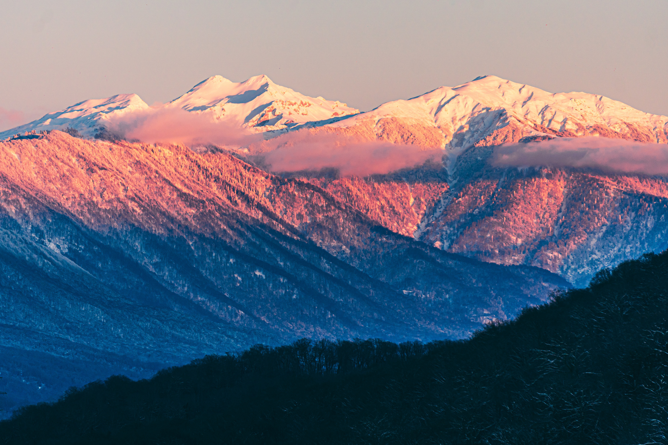 Зима в Сочи. Наталия Баранова — профессиональный фотограф в СПб и Москве