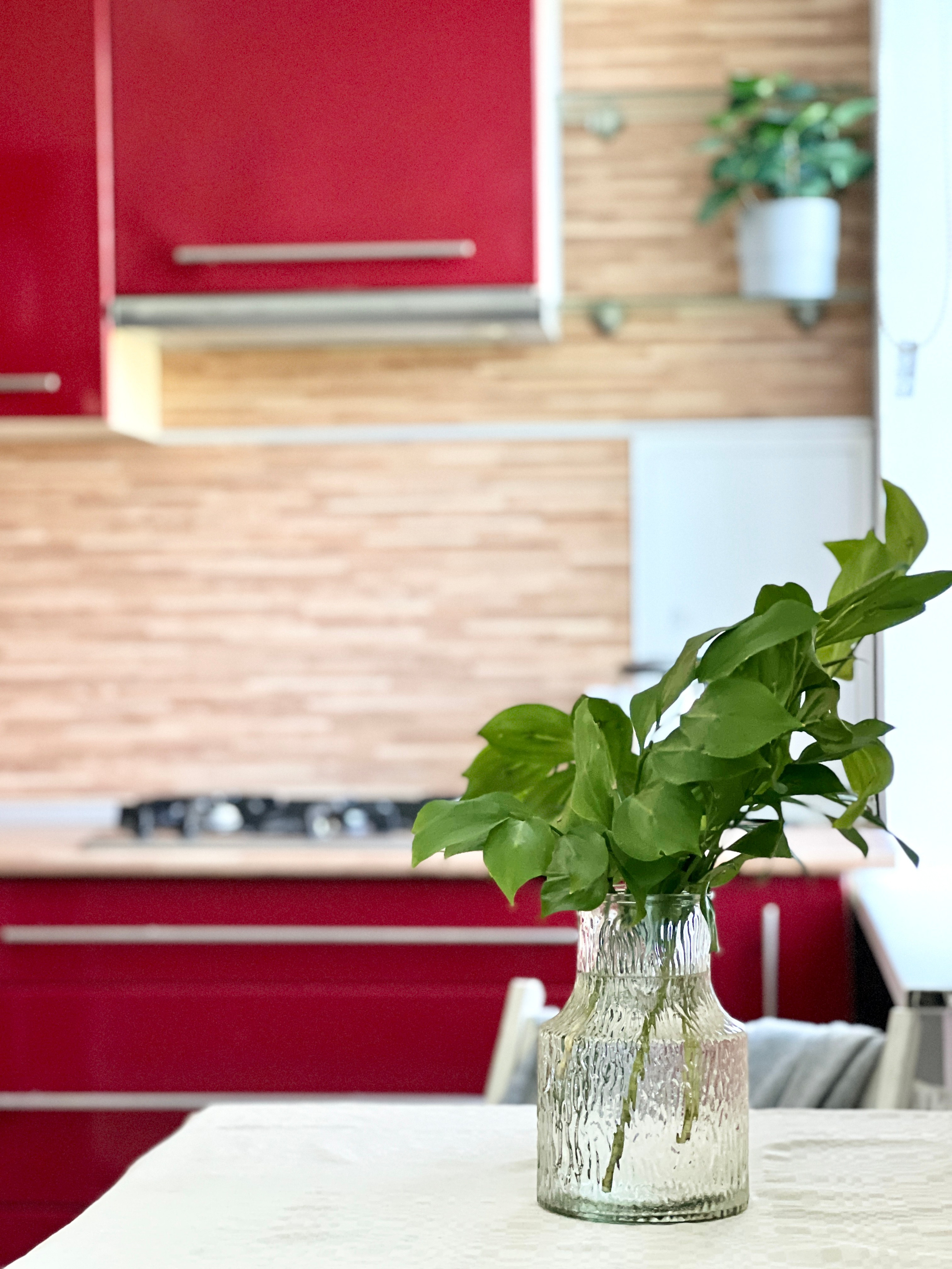 Гарькавого. Главная