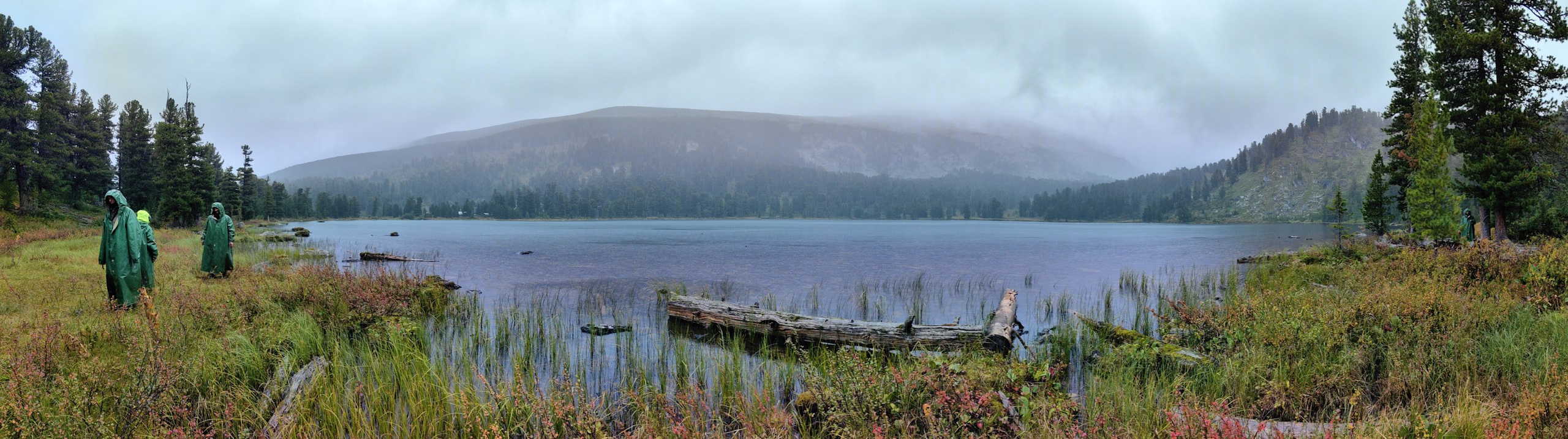 Главная. Юрий Березнюк. Фотограф в Новороссийске. Фотожурналистика