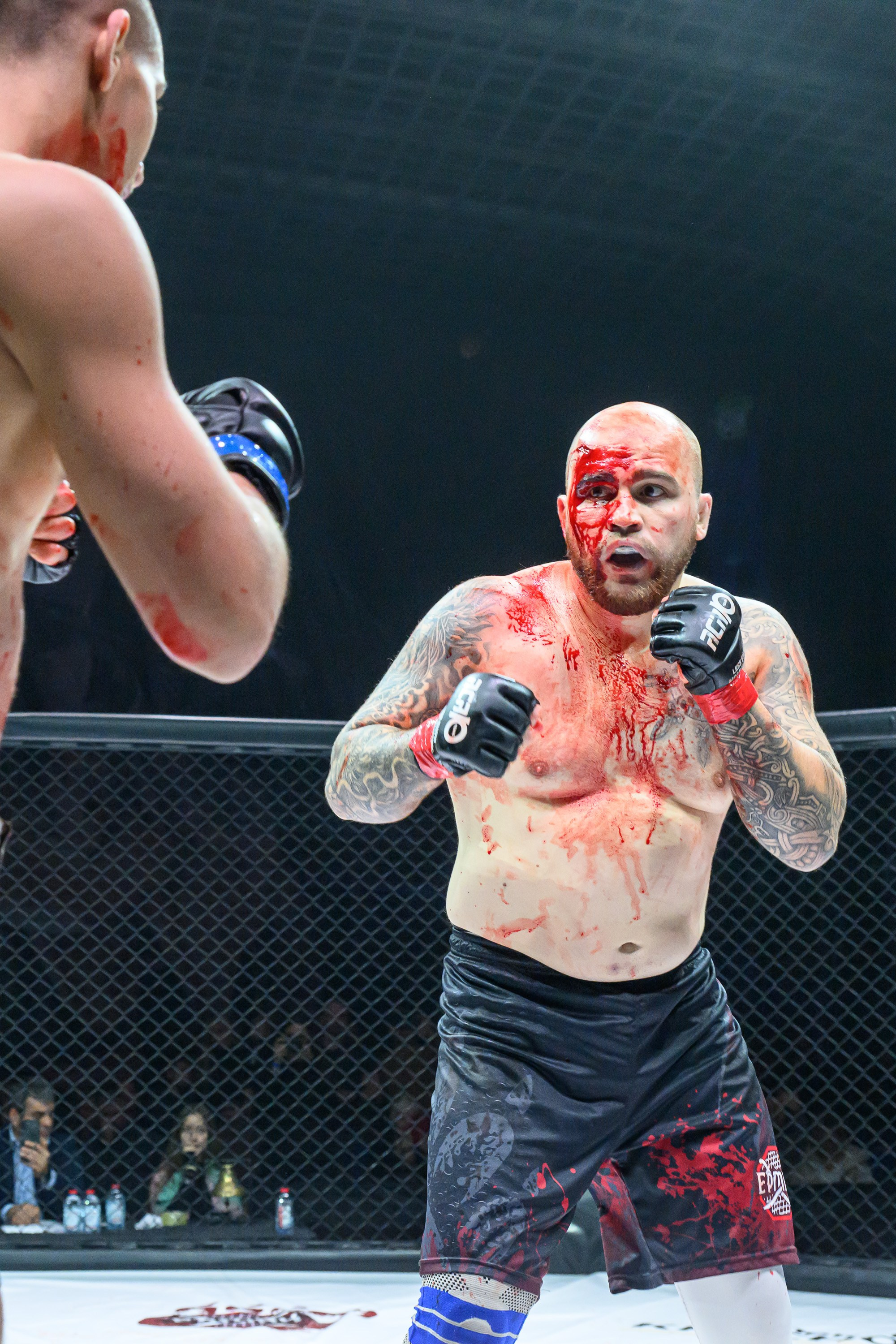 Фотосъемка профессионального турнира по смешанным единоборствам. Профессиональная фотосъемка. Ростов-на-Дону