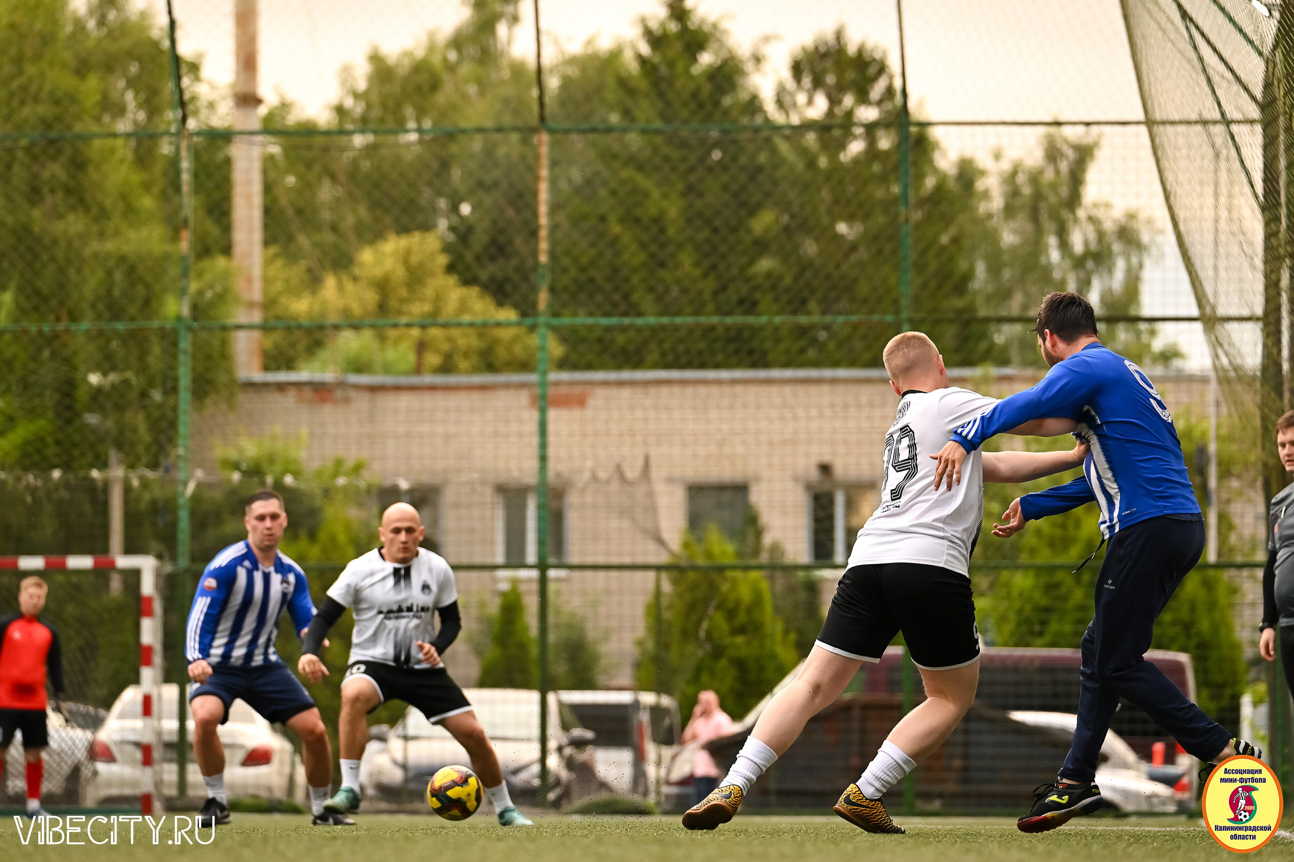 ИГРЫ МИНИ-ФУТБОЛЬНОЙ И КОРПОРАТИВНОЙ ЛИГИ. VIBECITY.RU Вайб Сити Ру Фоторепортажи Фотоотчеты Калининград