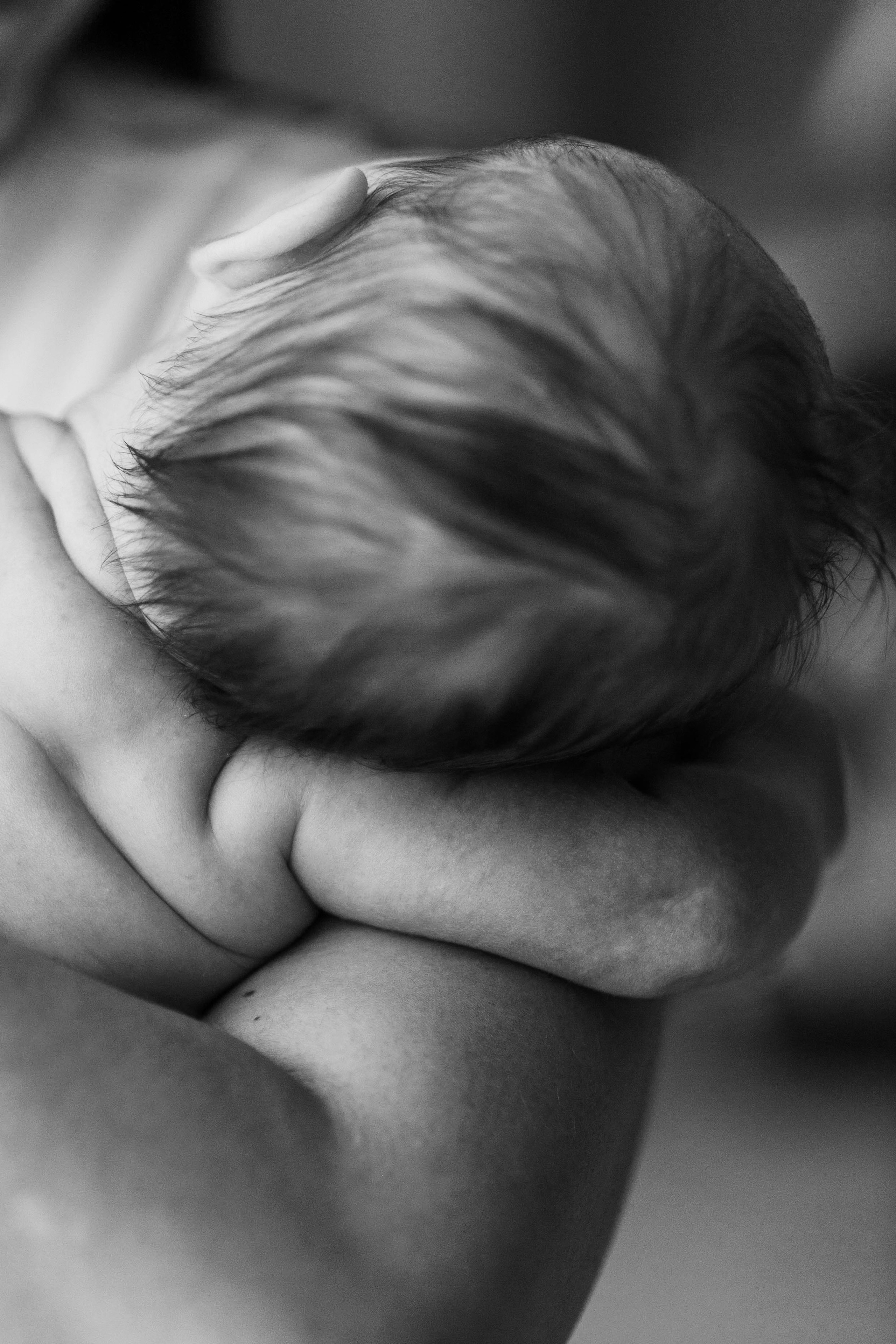 Под Новый год. Детский и семейный фотограф в Твери Ольга Крестьянинова