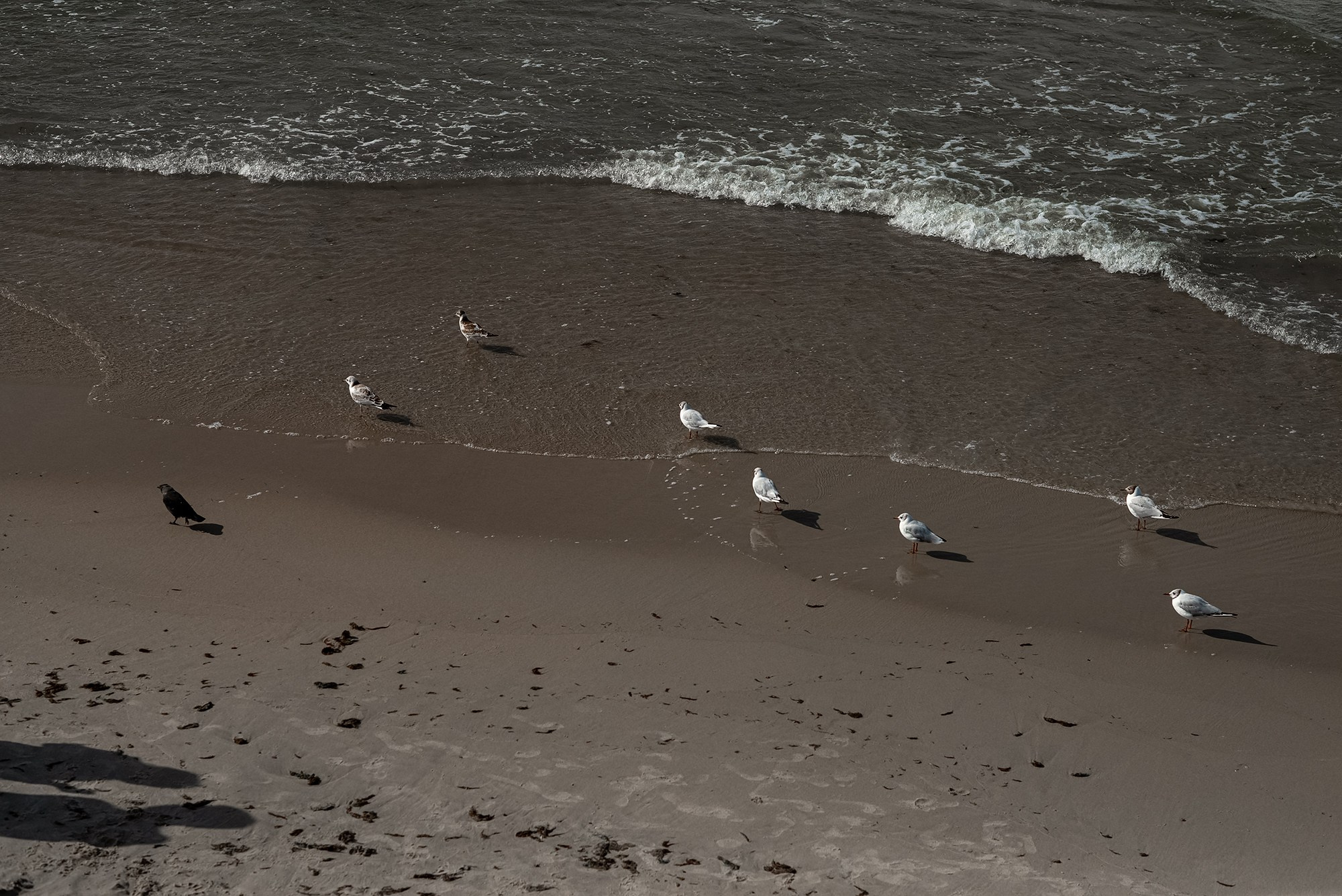 Архитектура Калининградской области. Женский фотограф Крещение Венчание Москва Брянск