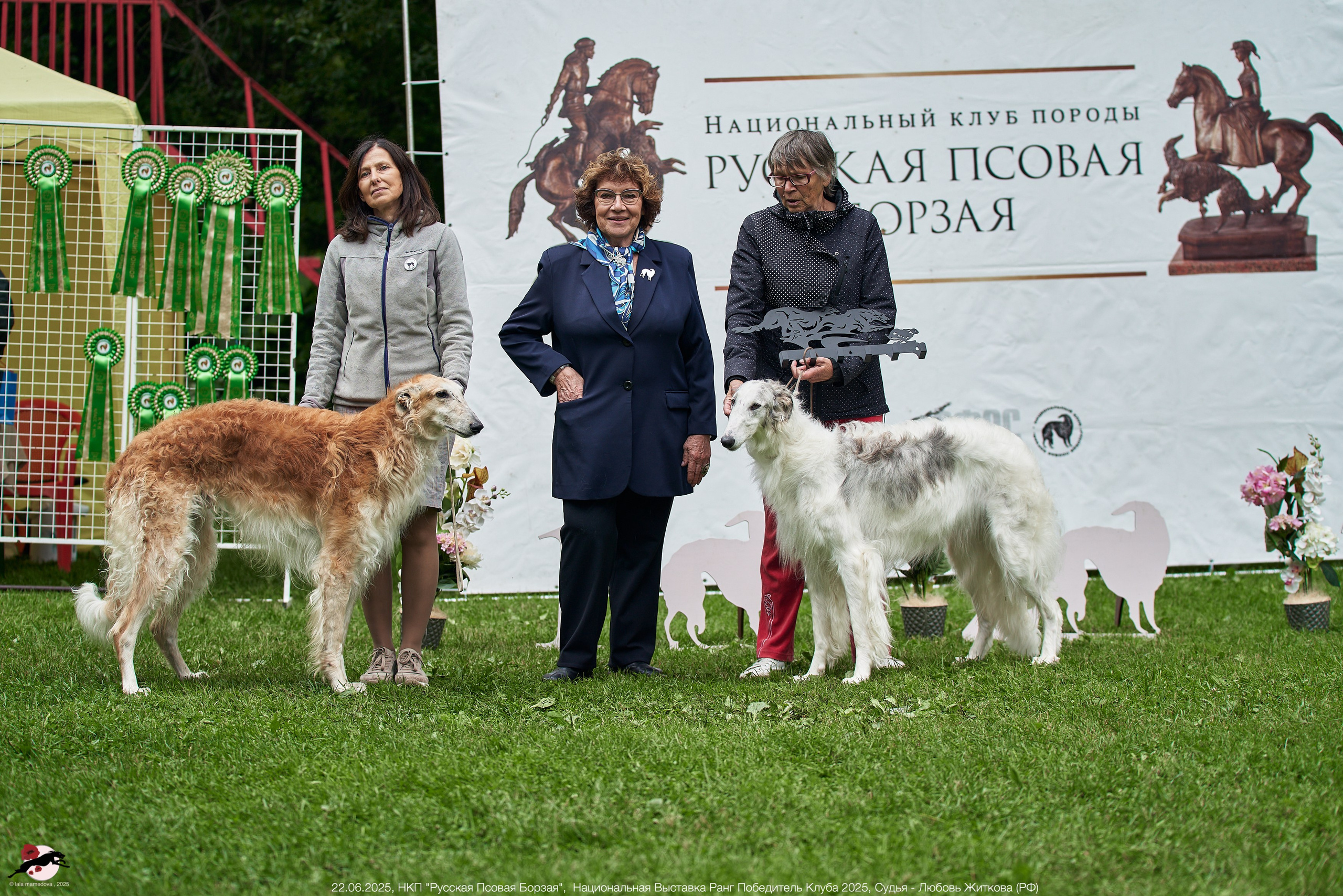 22.06.2025 | Национальная Выставка НКП "Русская Псовая Борзая"