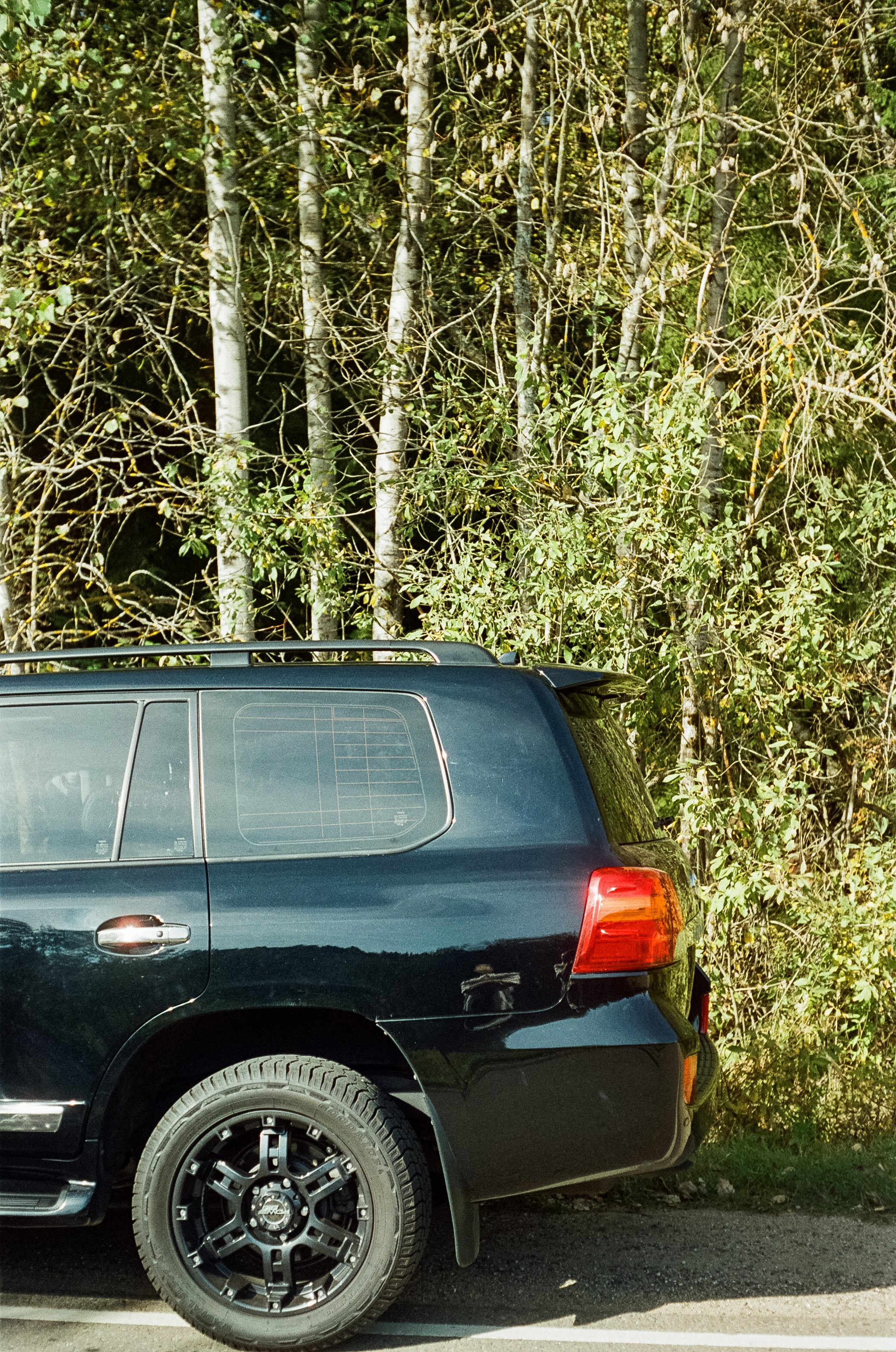 Voigtlander Vitessa / Color-Skopar 50 mm f/3.5 / Kodak Gold 100 (просрочка)