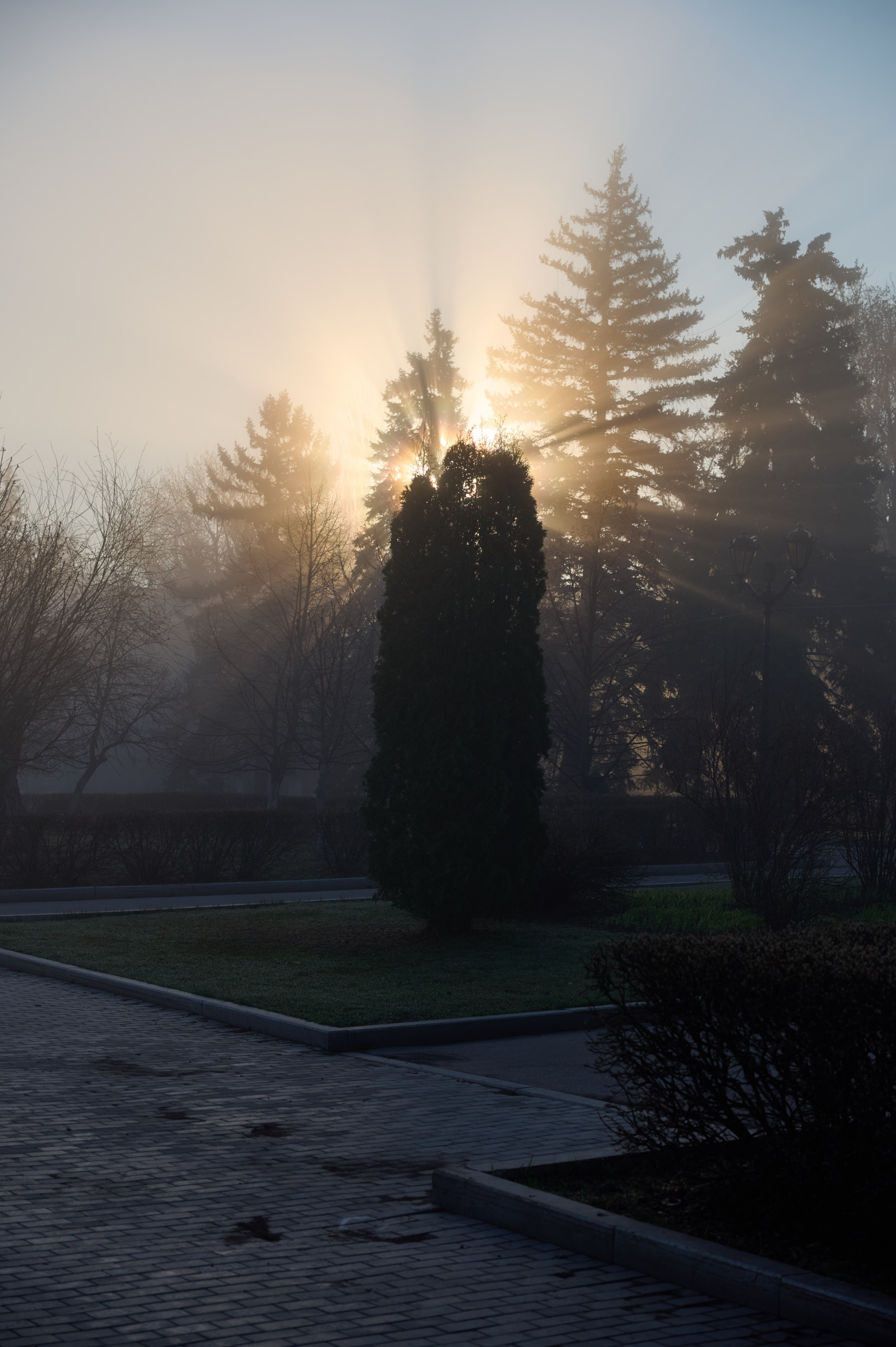 Туман на набережной Волги в Самаре, 8 апреля 2025 года