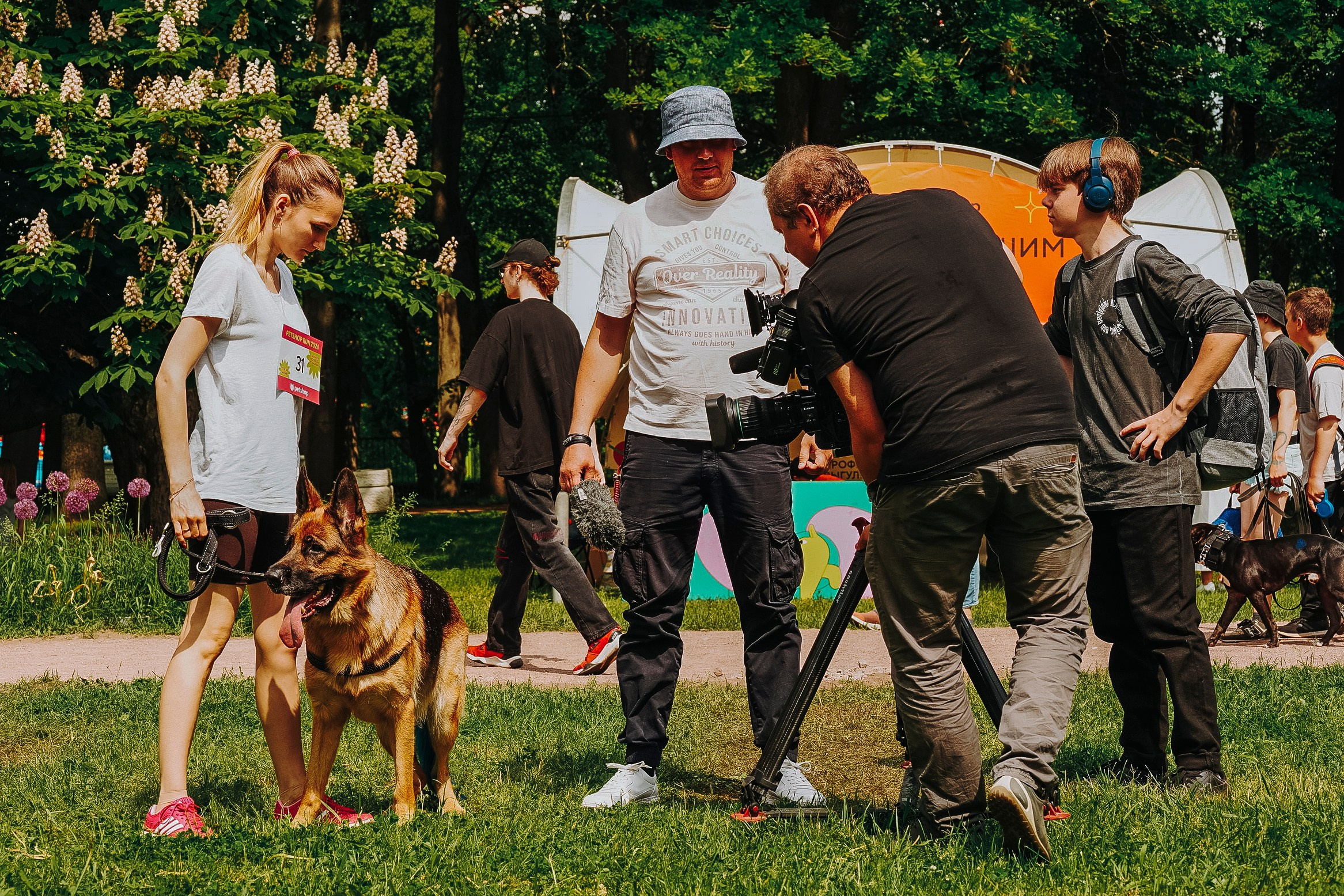 Цены за фотосессию с собакой. Фотограф анималист в Спб недорого Олеся Майорова