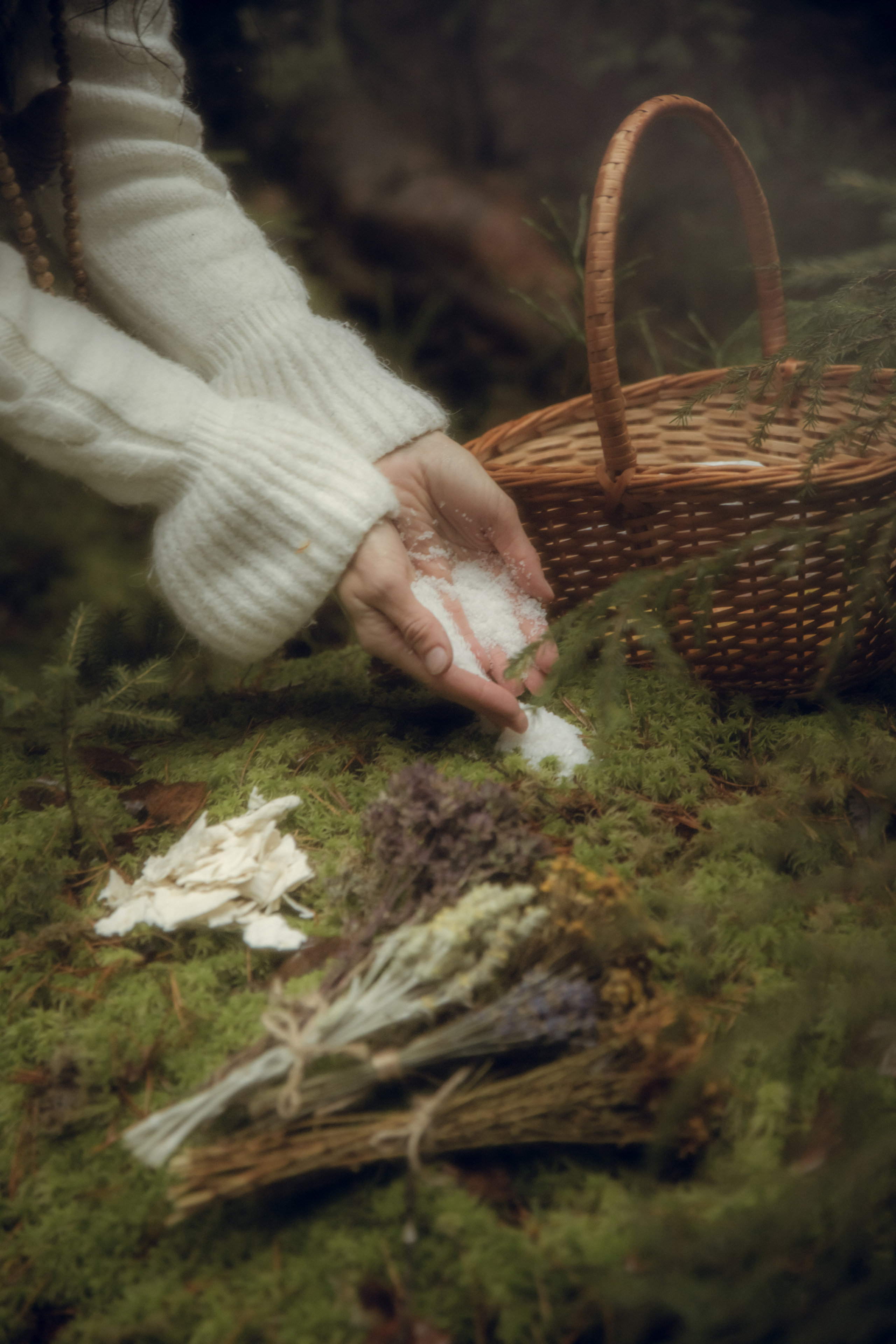 Авторский ретрит. Лилия Гоца. Гунфу Шаолинь. Арт-фотография. Ретриты