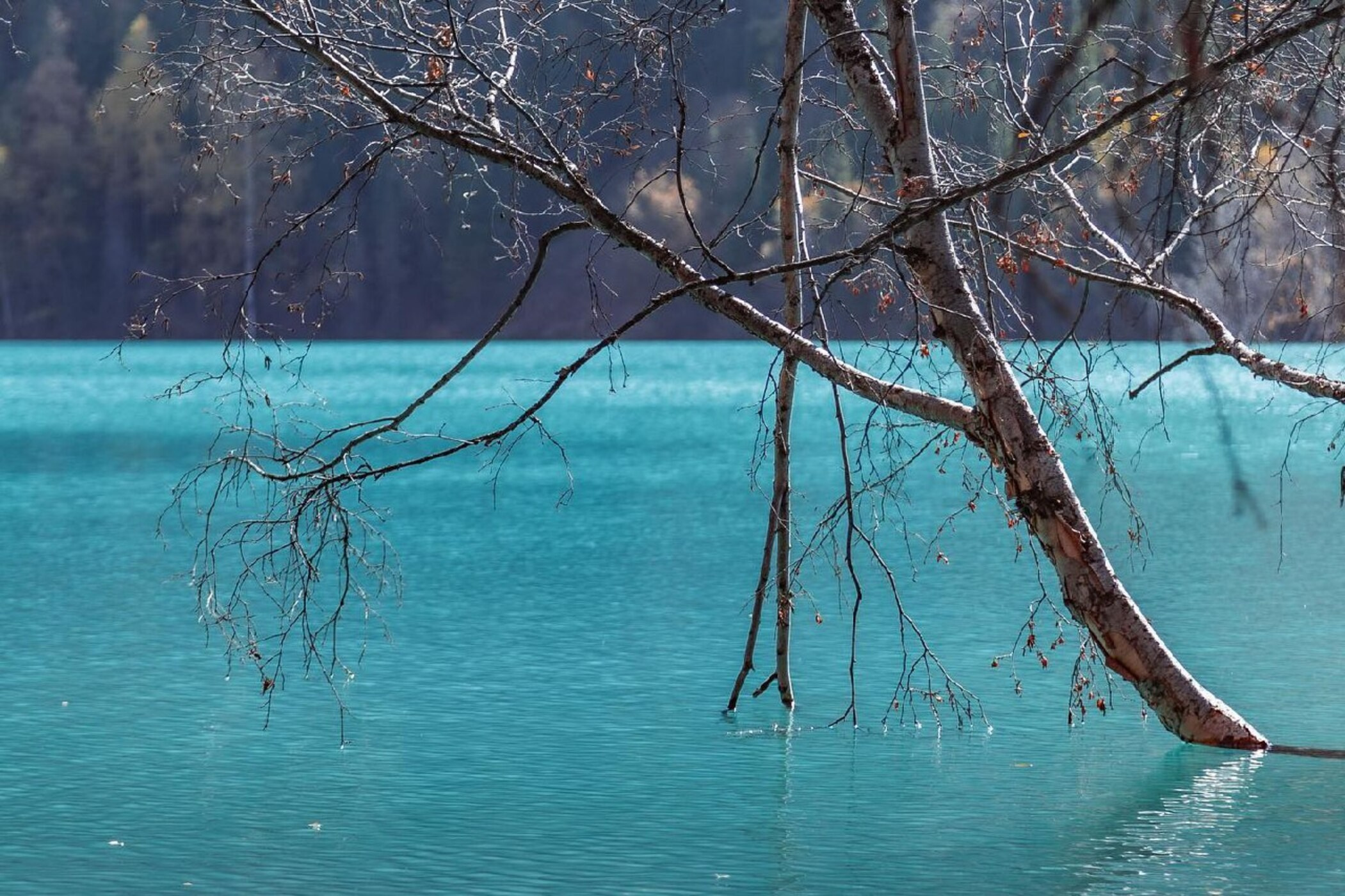 Экскурсия и тур на озеро Иссык из Алматы