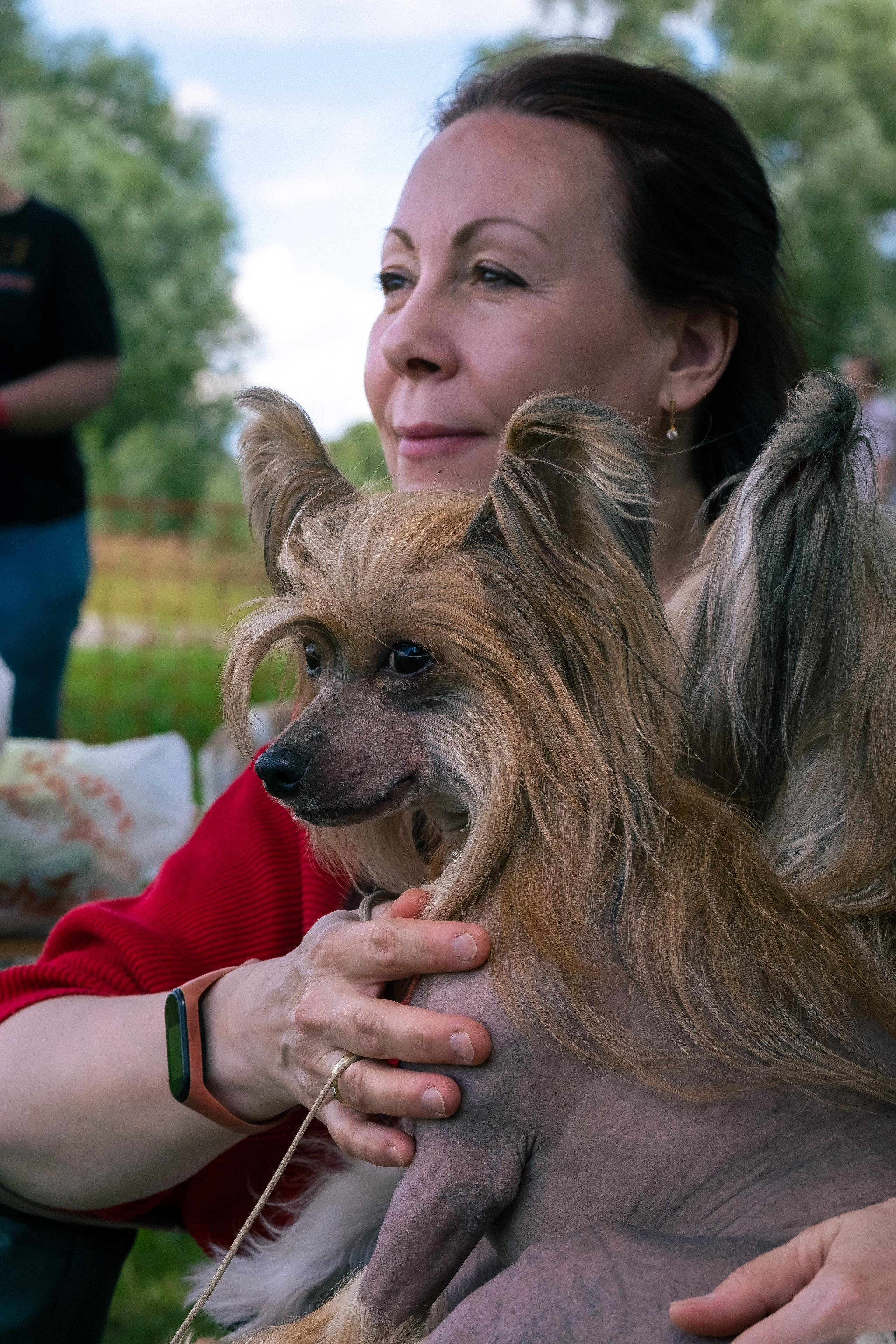 Poale Ell Cooper. Chinese Crested Dog Kennel Poale Ell