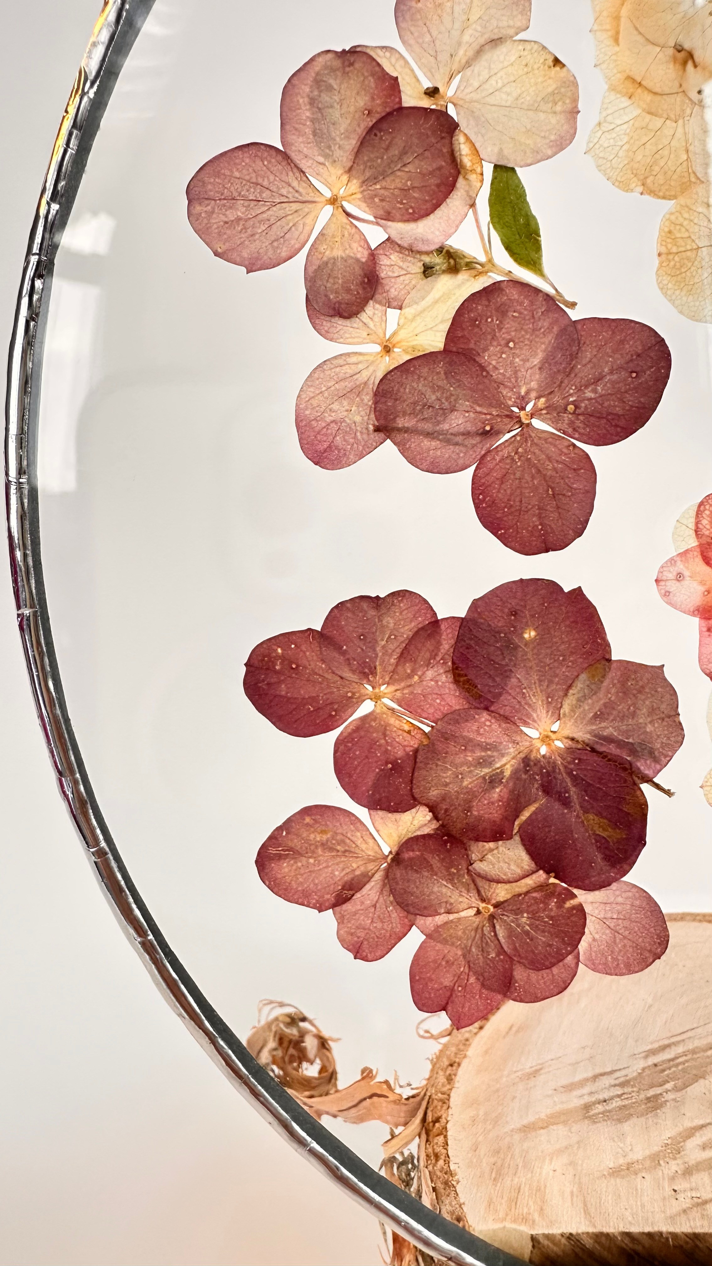 Гортензия круг 20 см. Оформляю пространства. Витражи с сухоцветами в технике Тиффани