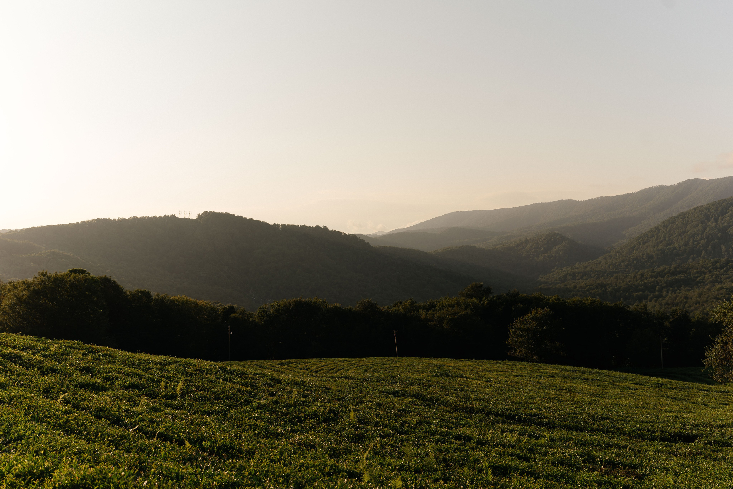 Фото в горах. Свадебный фотограф Сочи Елена Казакова