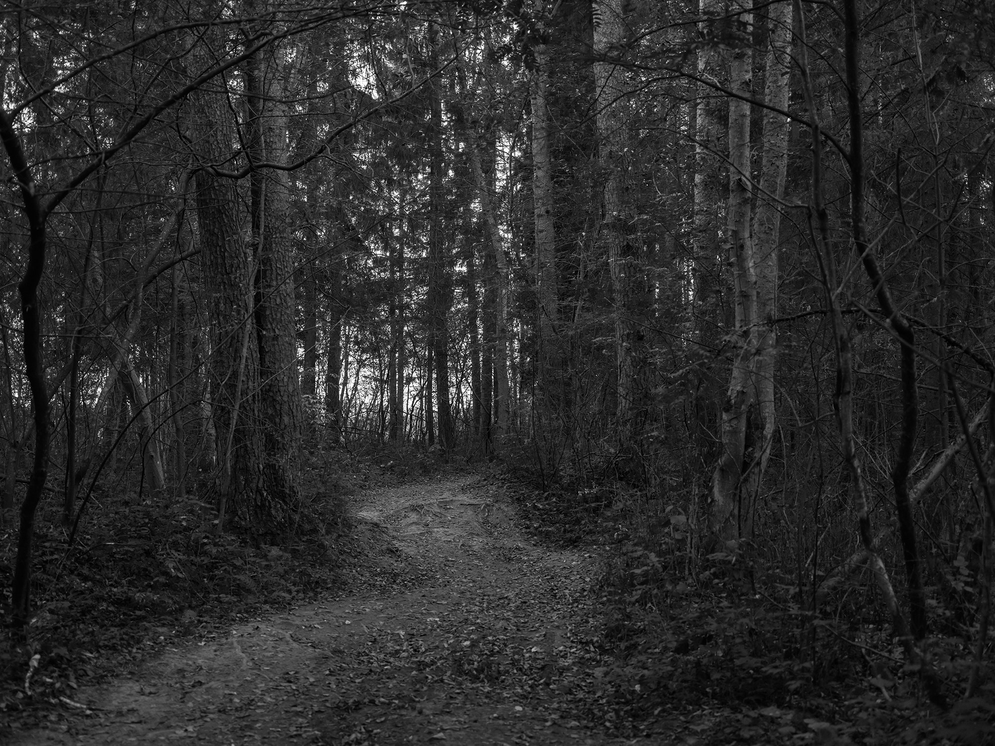 Russia. Documentary and art photographer Alexey Terentyev